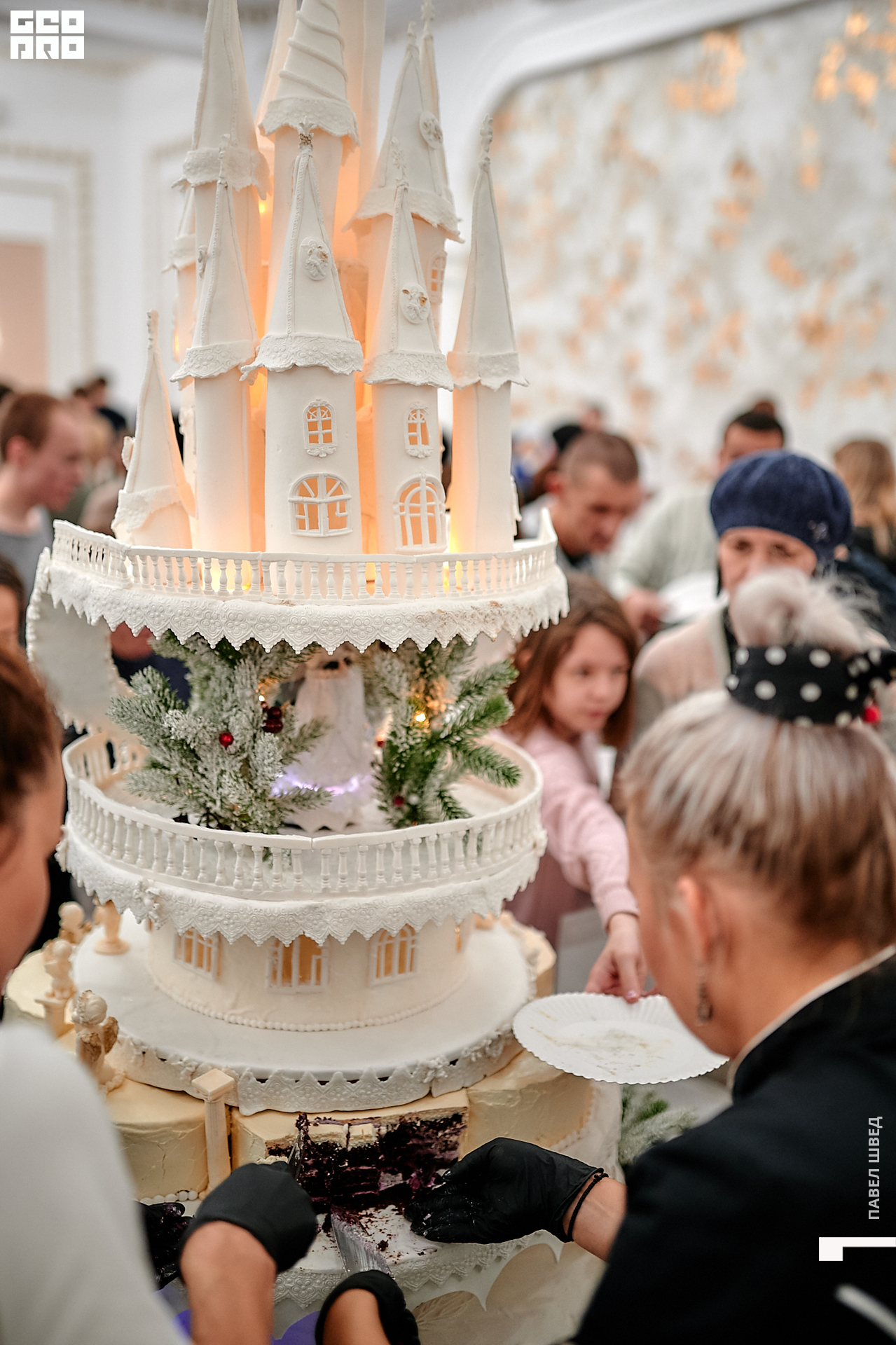 2019-11-24 13-10-00_SHVED_0251.jpg