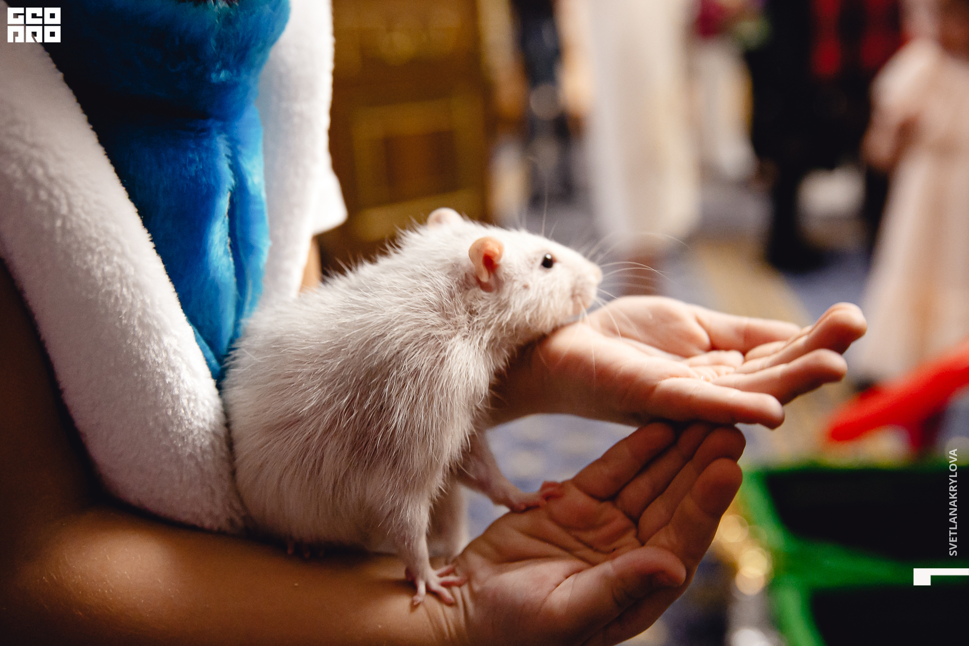 2019-12-22 16-00-00 Krylova_0005.jpg