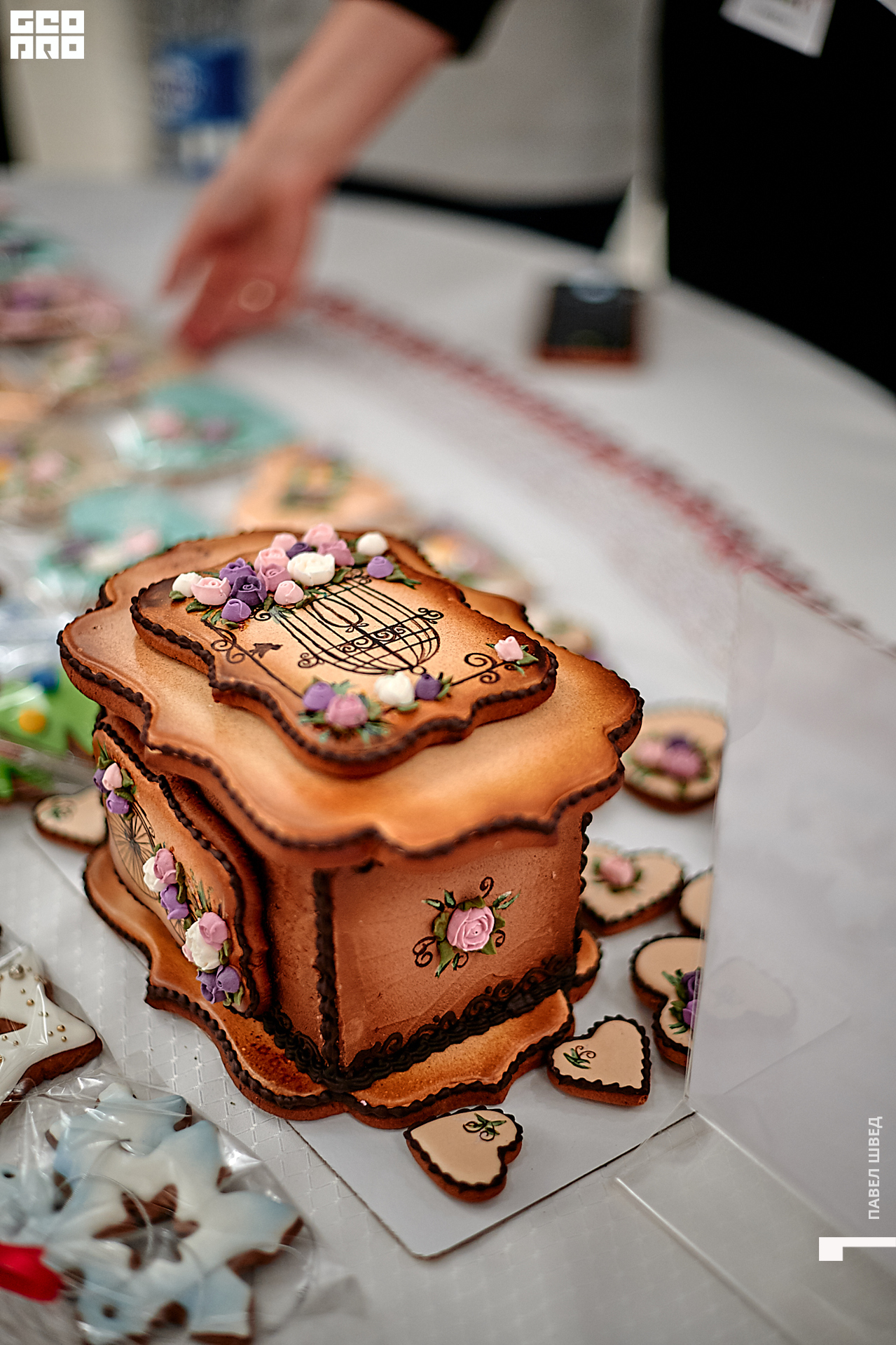 2019-11-24 13-10-00_SHVED_0150.jpg