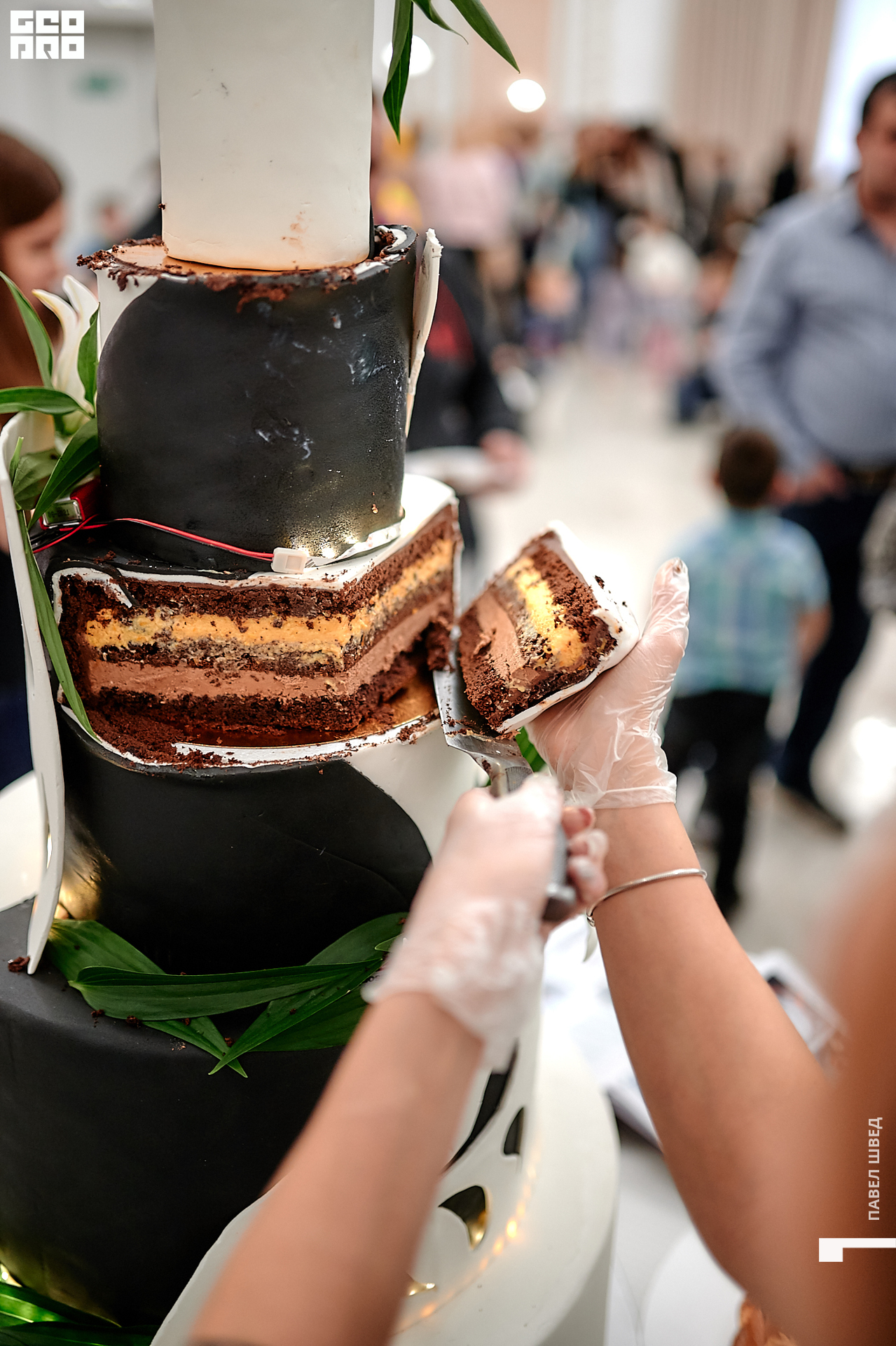 2019-11-24 13-10-00_SHVED_0271.jpg