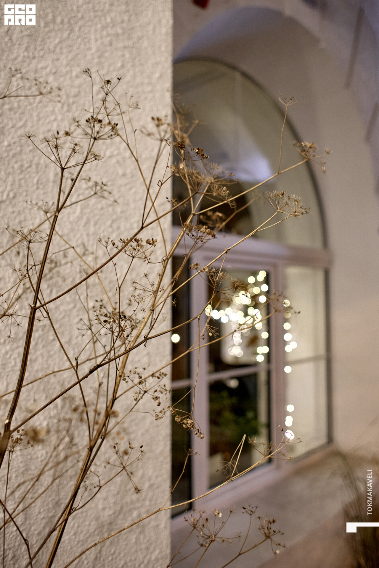 tokmakaveli 2987.jpg