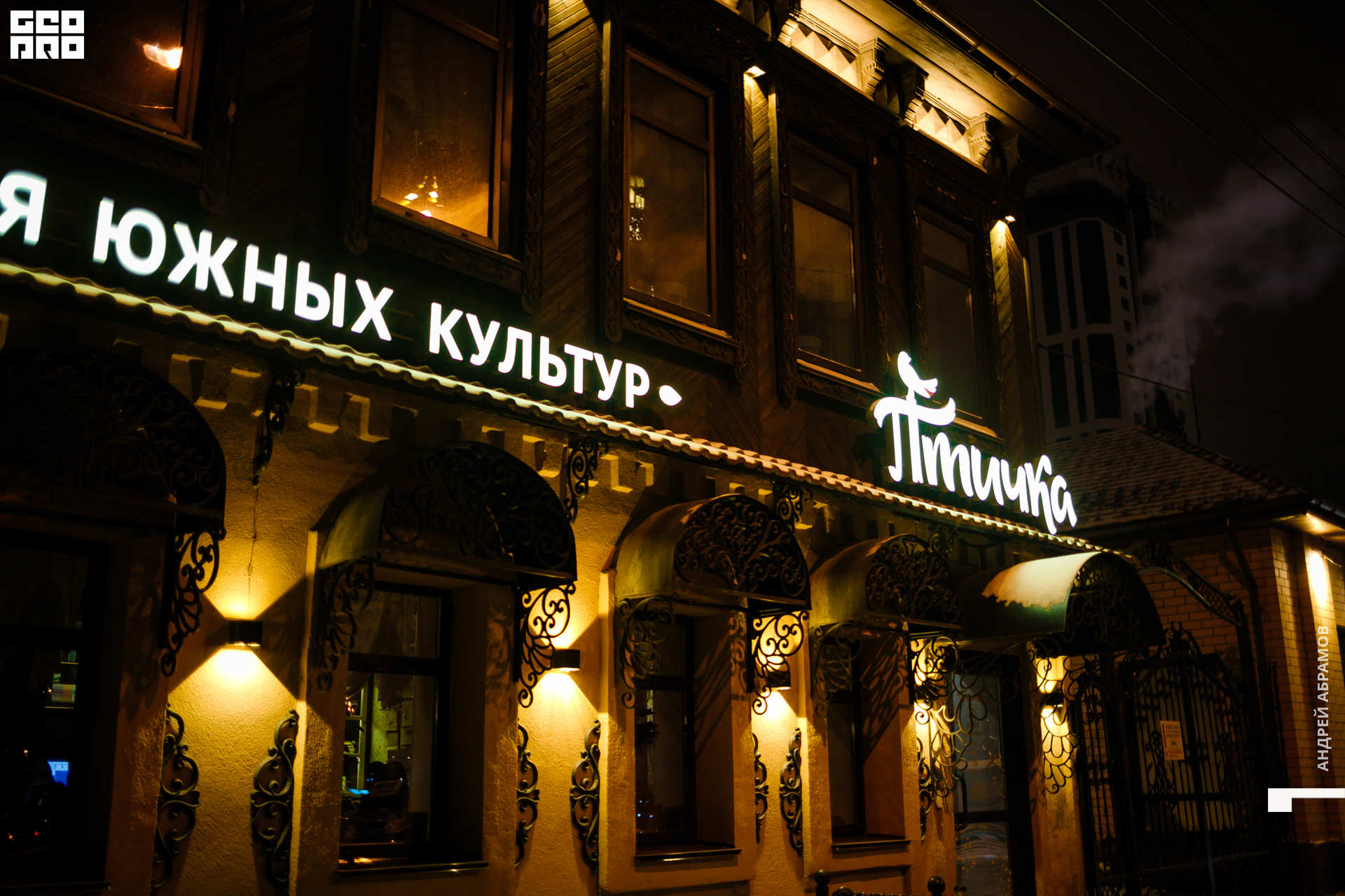 151119 Птичка Абрамов 0001.jpg