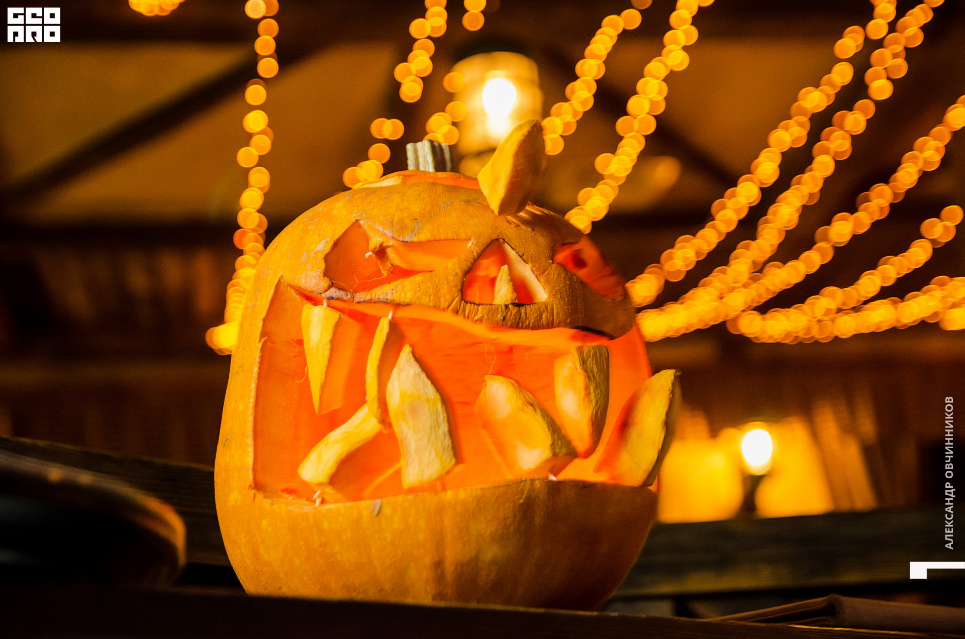 Фото 097 копия.jpg