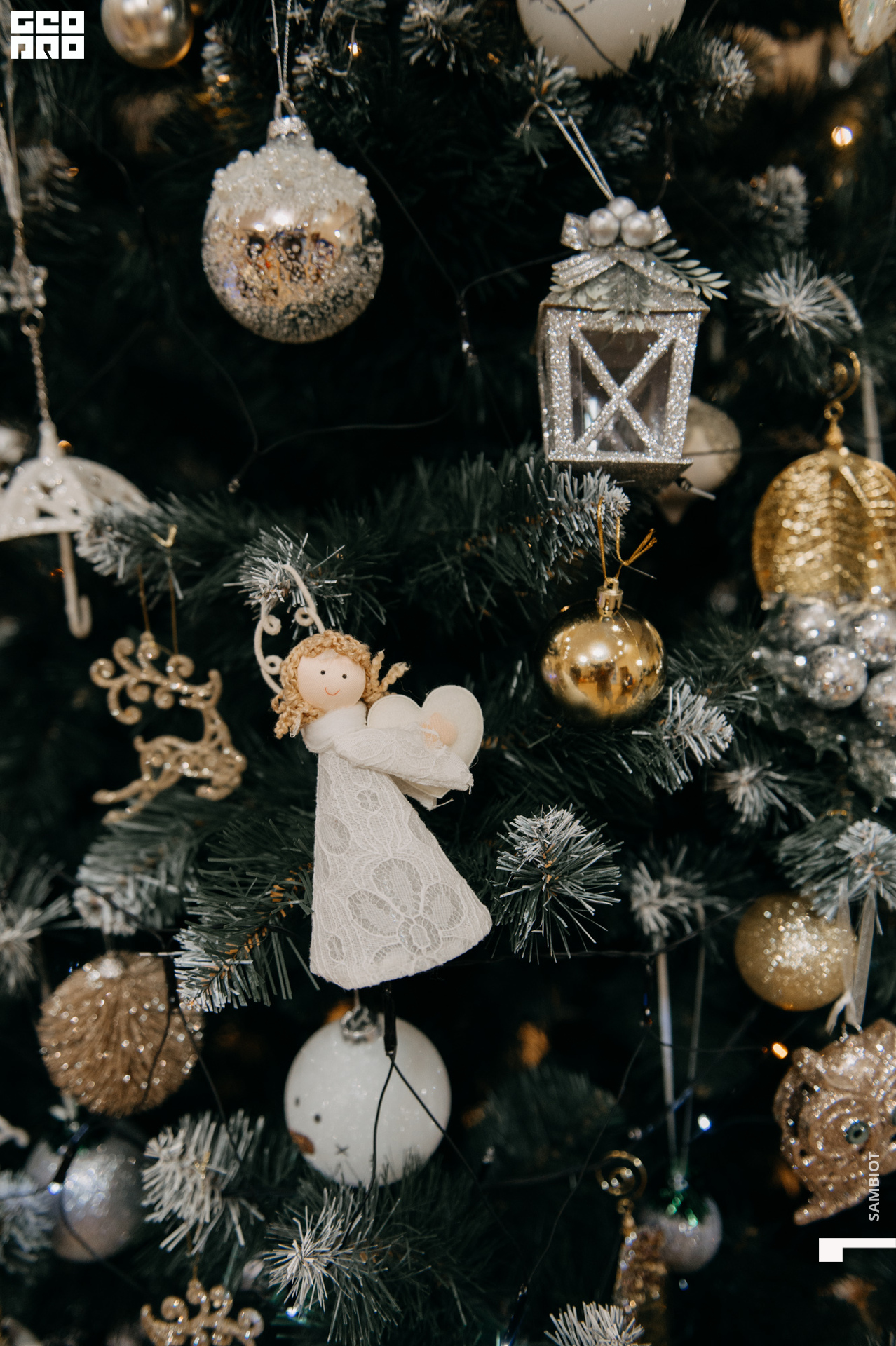 untitled (32 of 195).jpg