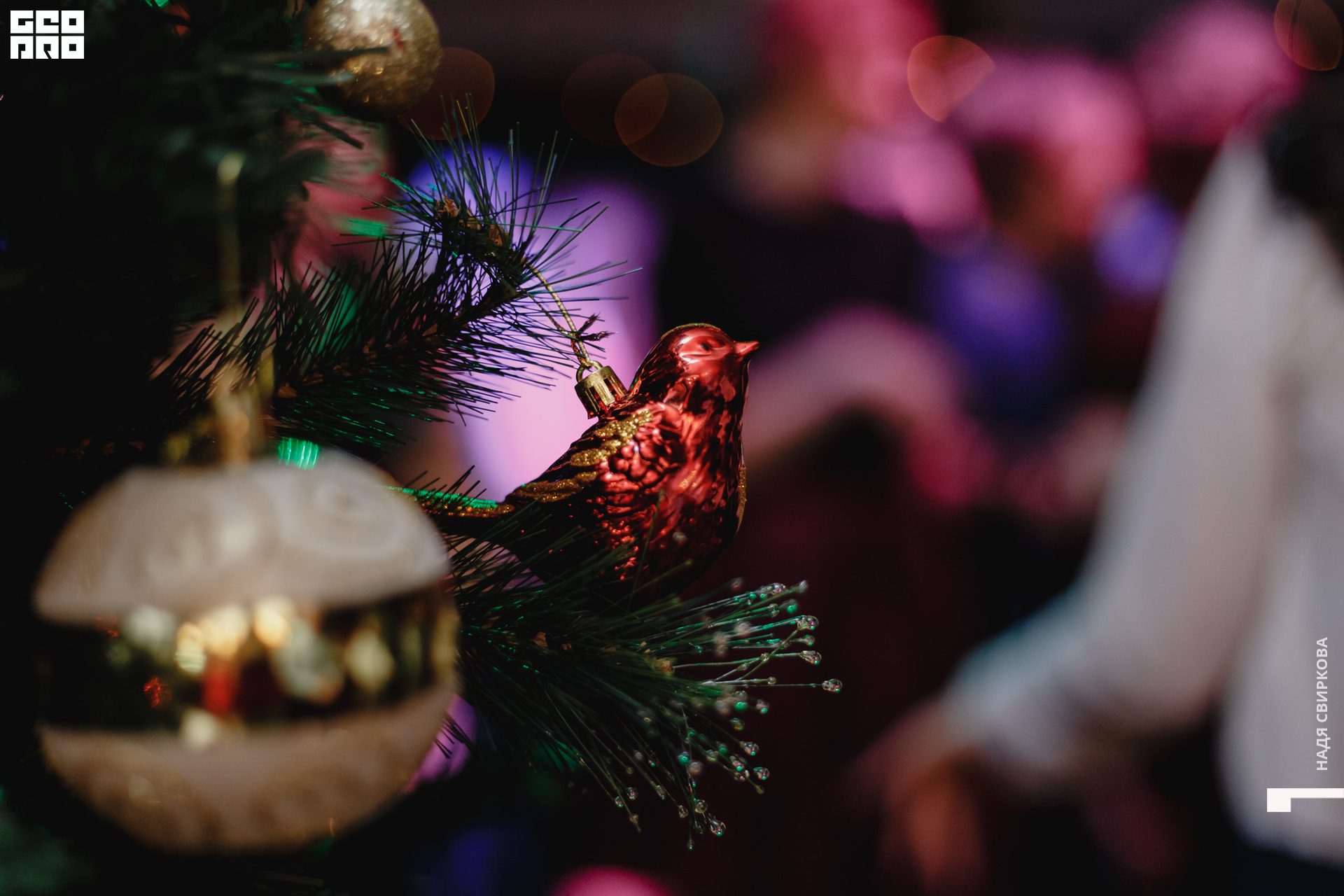 2019-12-27 20-00-00_svirkova_114.jpg