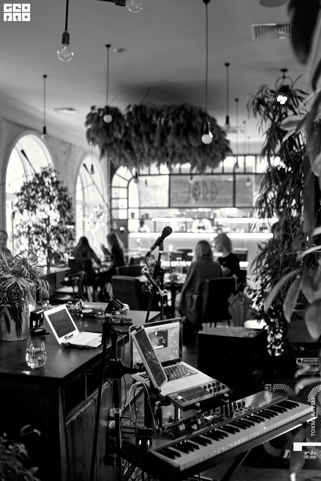 tokmakaveli 2978.jpg