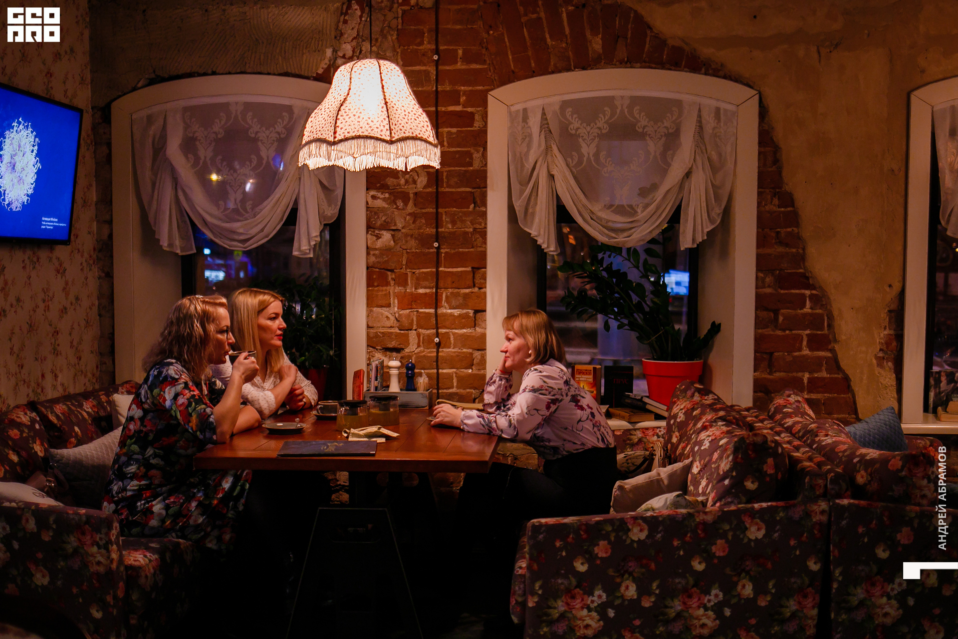 151119 Птичка Абрамов 0007.jpg