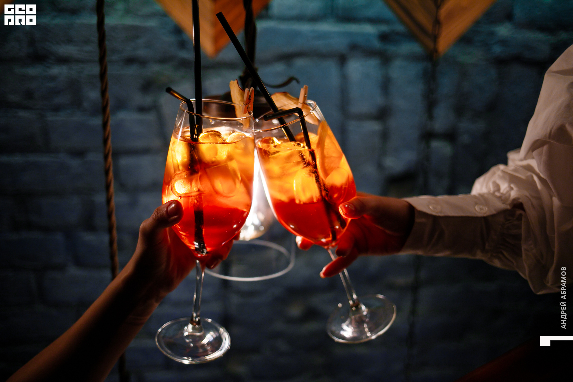 061219 Птичка Абрамов  0002.jpg