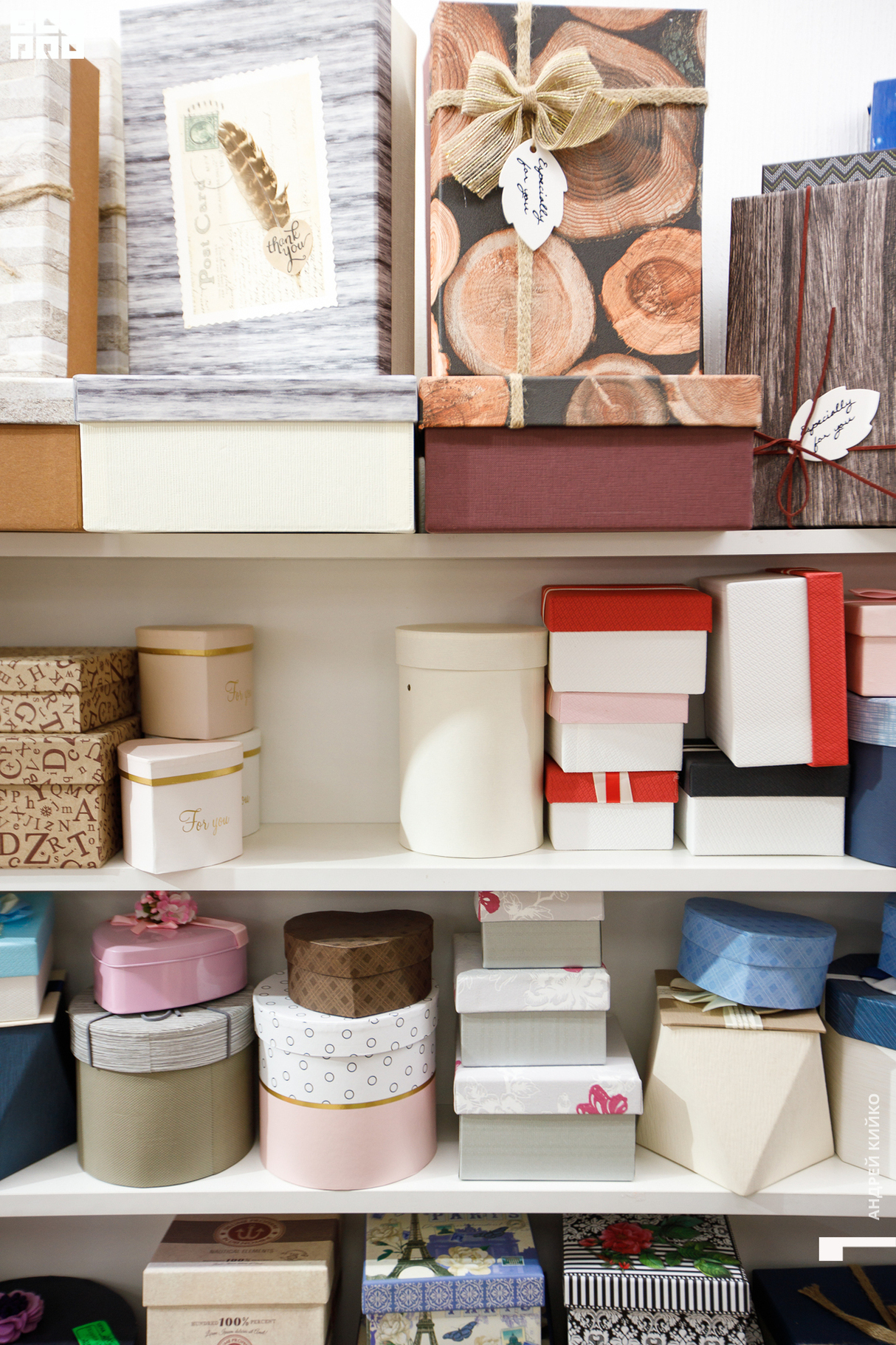 Открытие зала в Hobby-room Lavanda 16