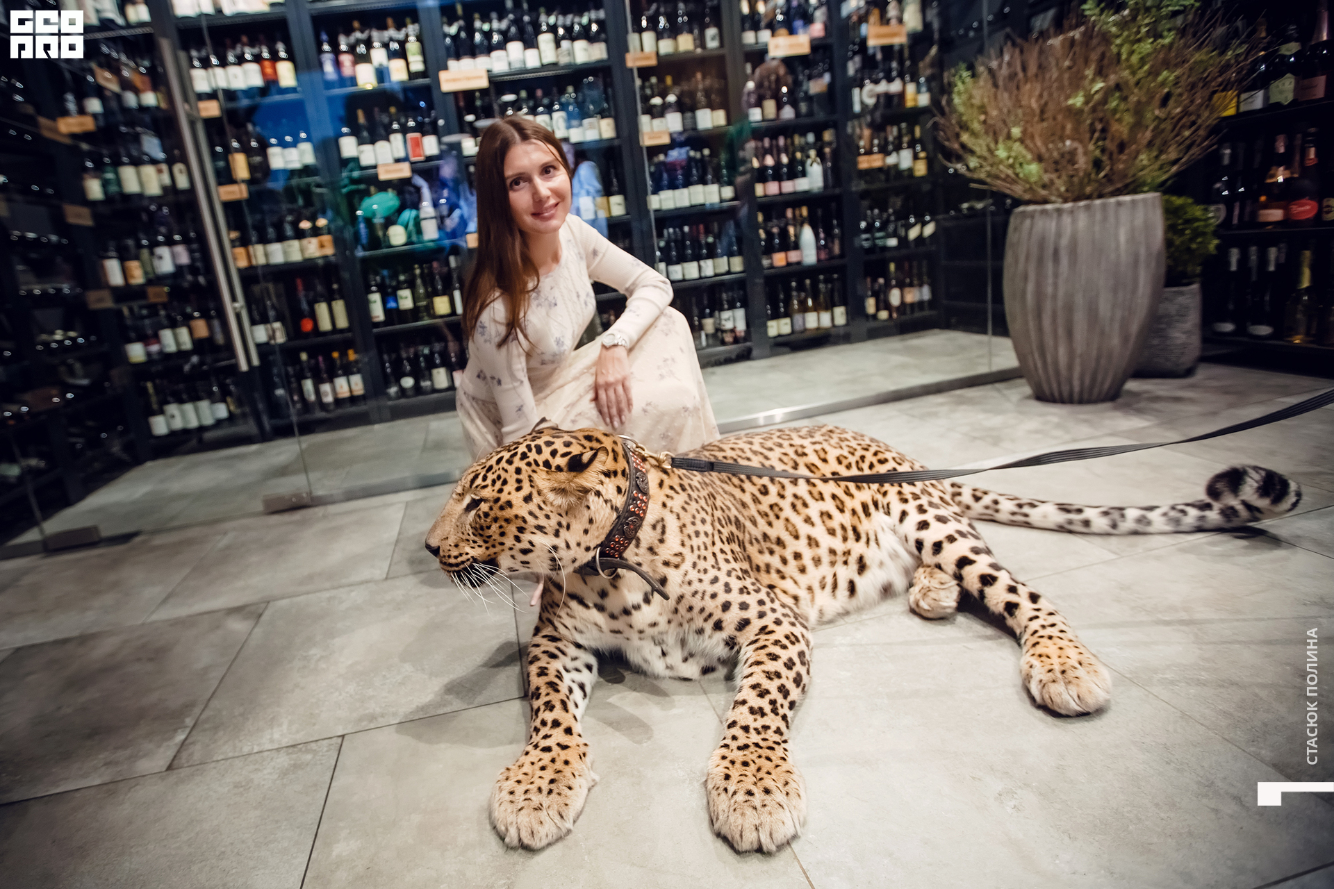 кино вино и домино - 201.jpg