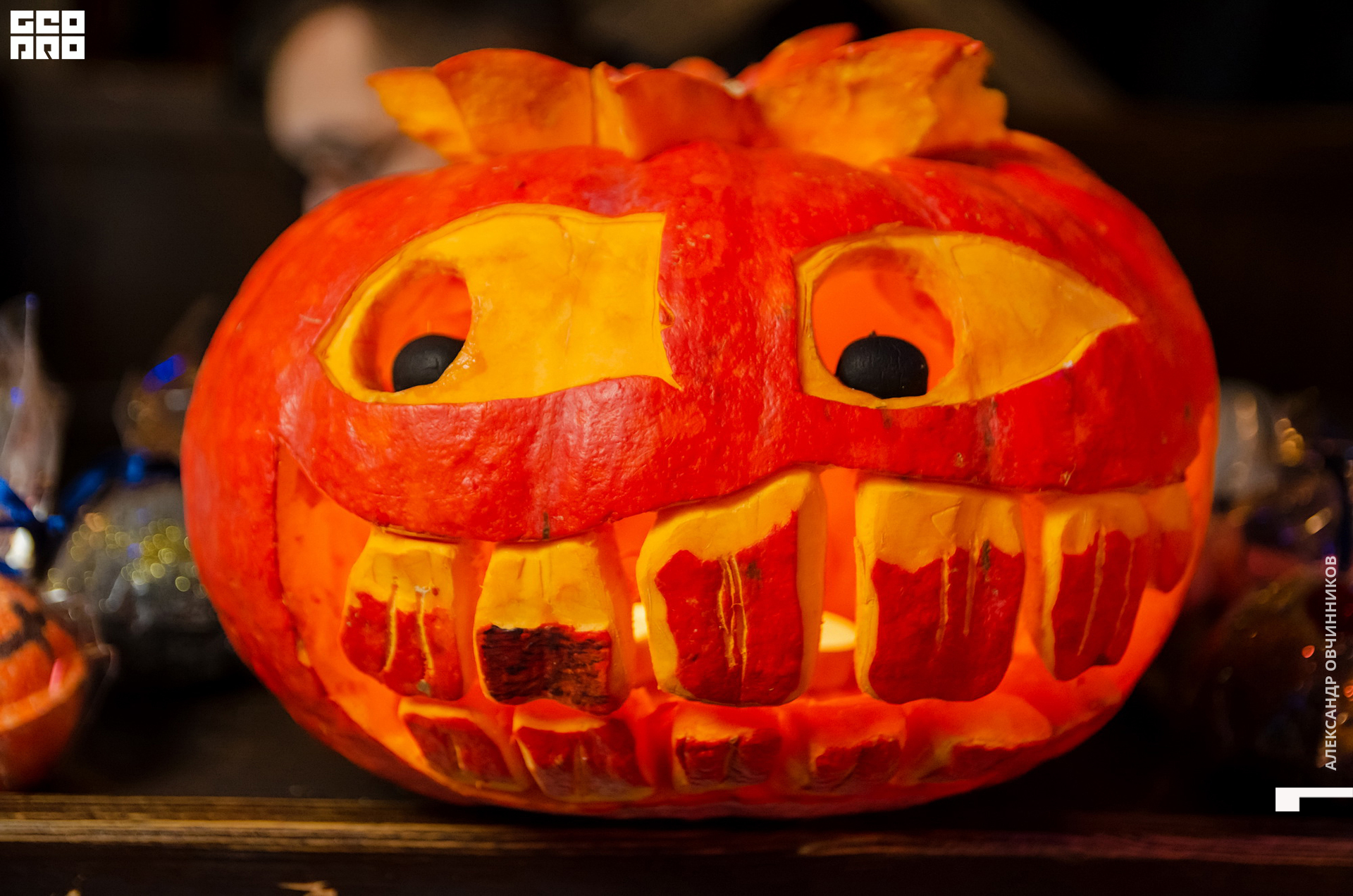 Фото 032 копия.jpg