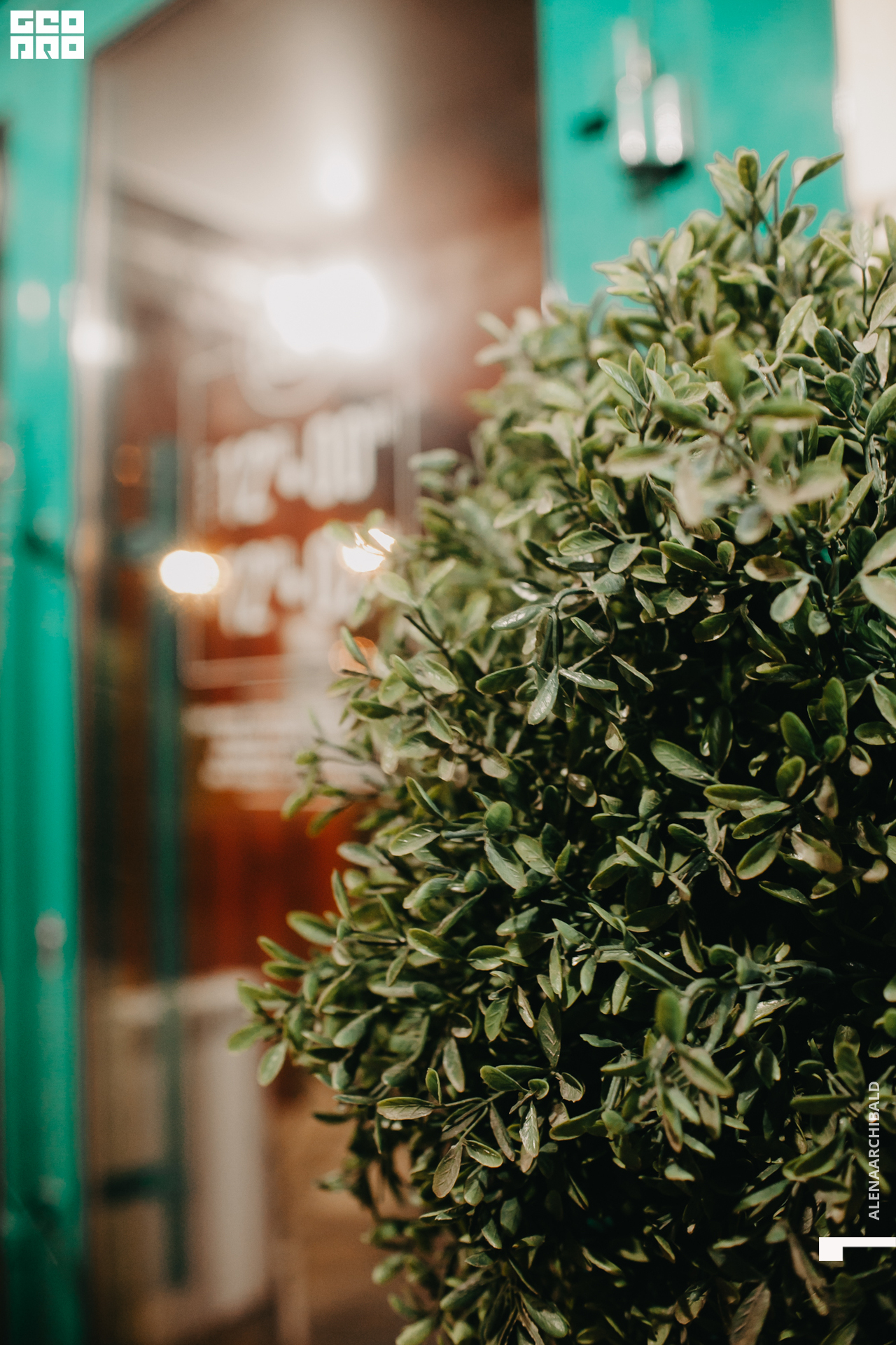 2019-11-22 20-00-21_alenaarchibald_0097.jpg