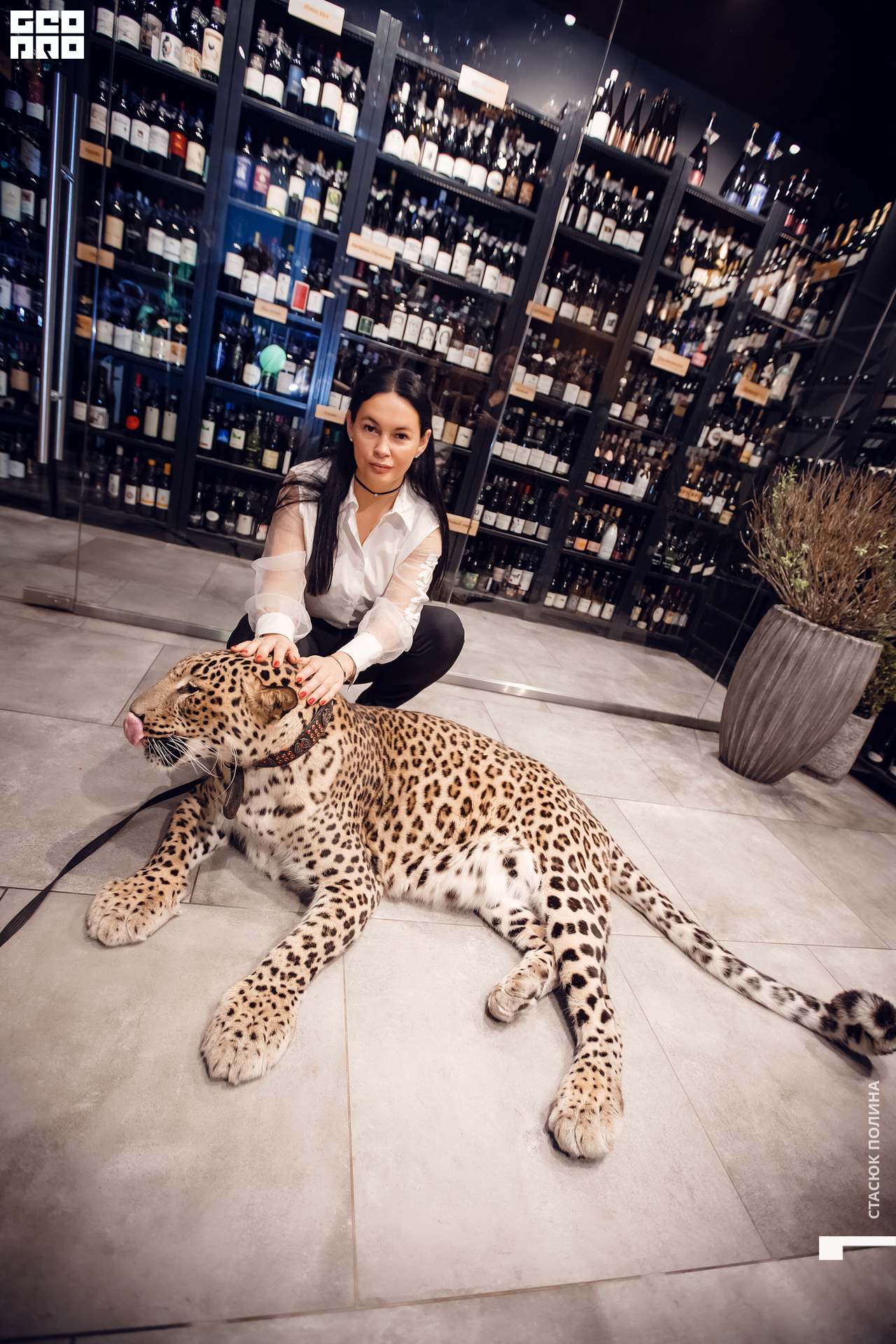 кино вино и домино - 165.jpg