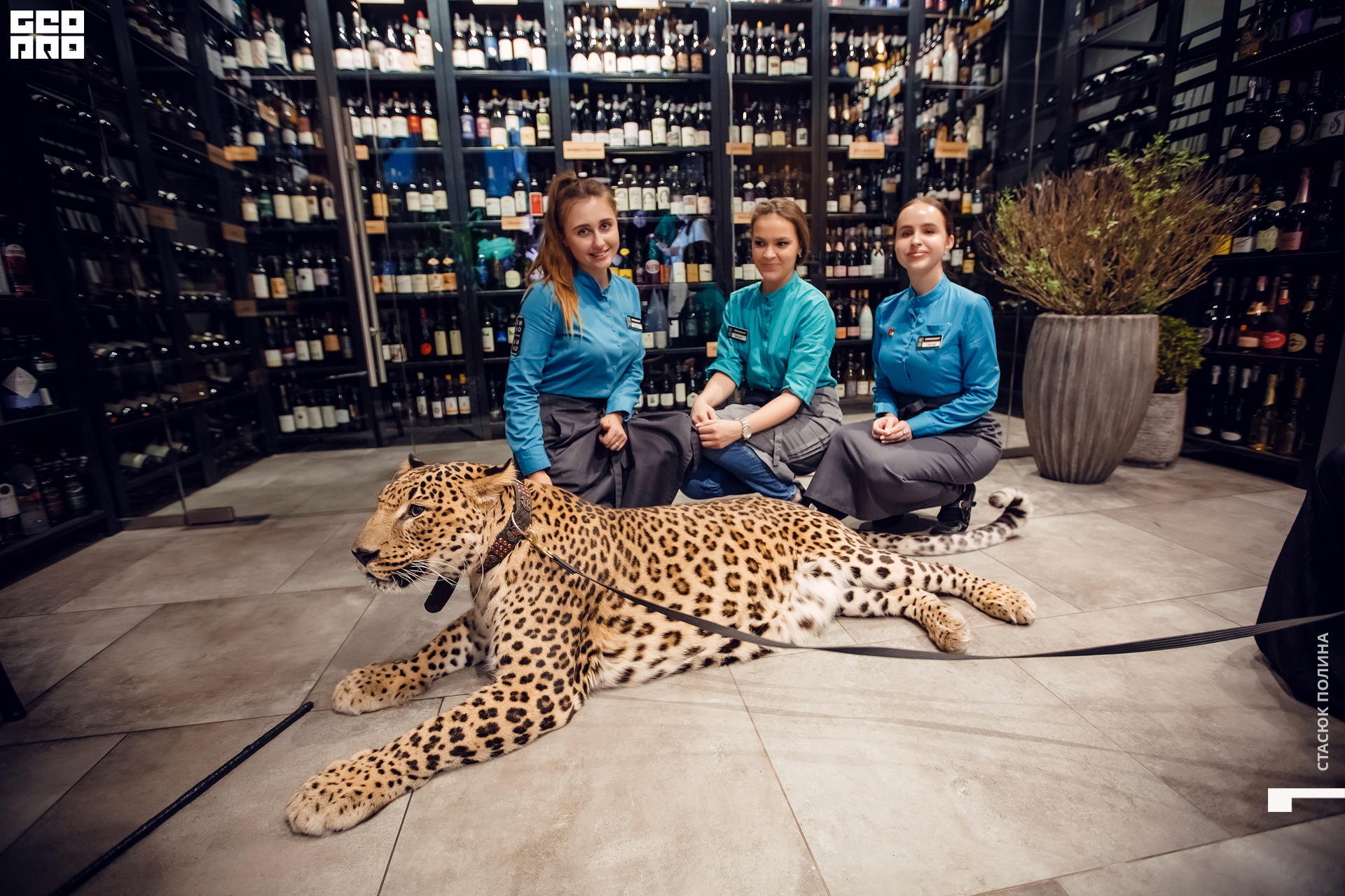 кино вино и домино - 200.jpg