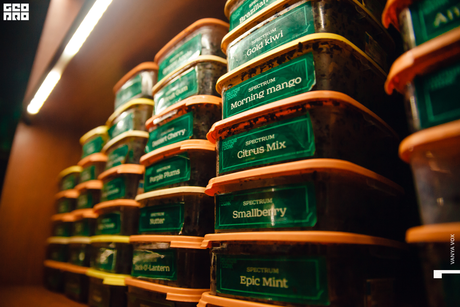 2019-11-29 22-00-00_Вокс_0014.jpg