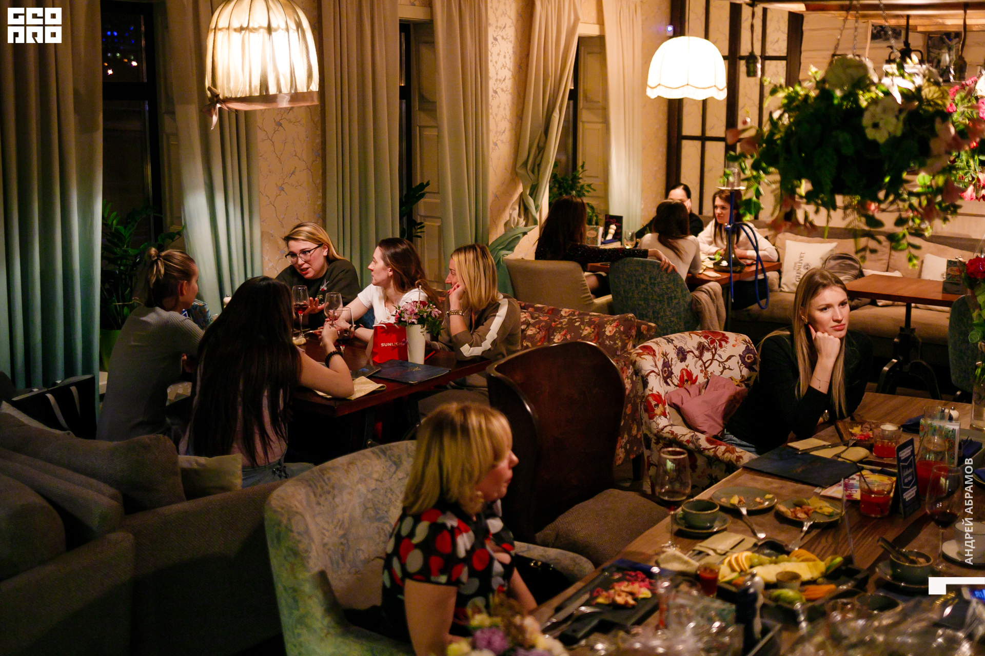 251019 Птичка Абрамов0058.jpg