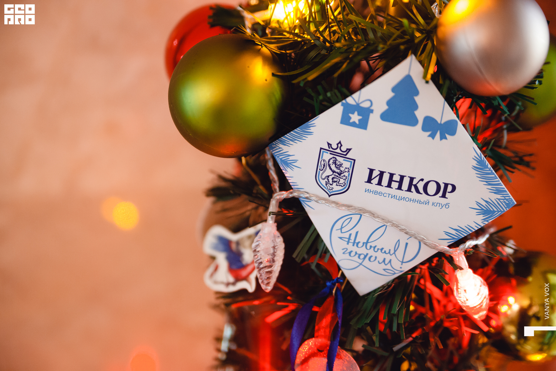 2019-12-14 12-00-00_Вокс_0139.jpg