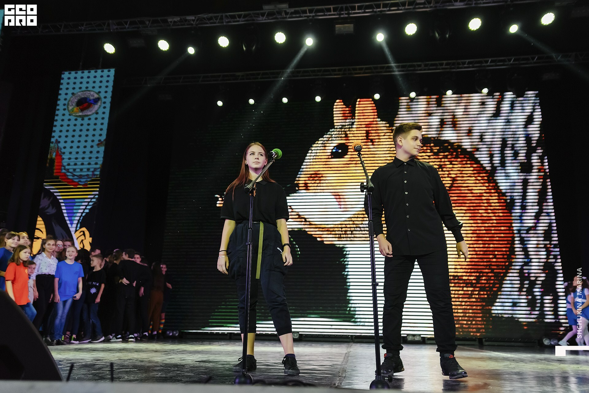 27.10.2019 цвет-157.jpg