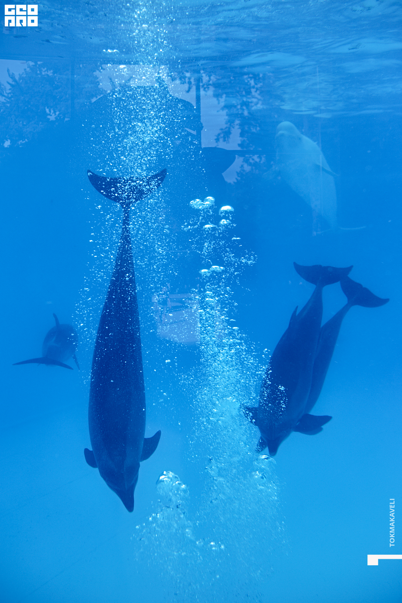 tokmakaveli 1552.jpg