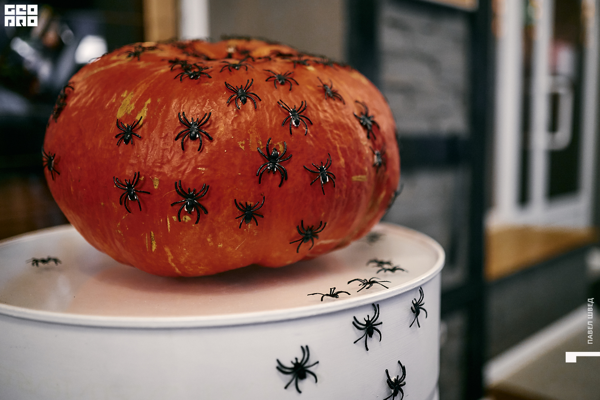 2019-10-29 18-30-00_SHVED_0007.jpg