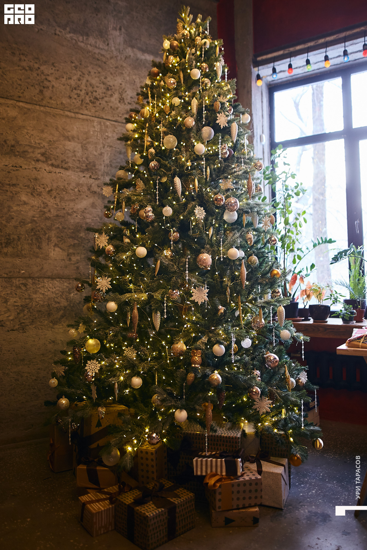 001 191222_113826_uri_0001.jpg