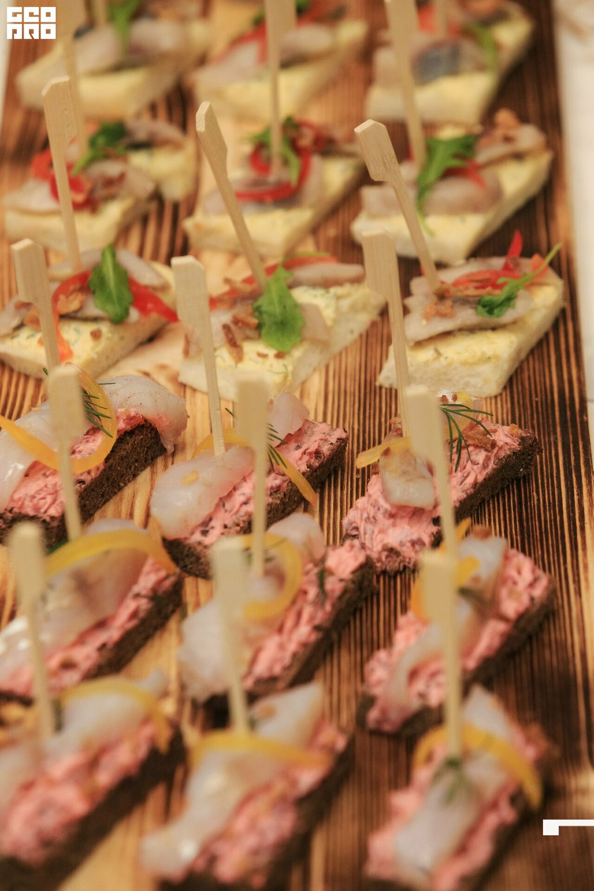 West Horeca Forum 2019. День II 22