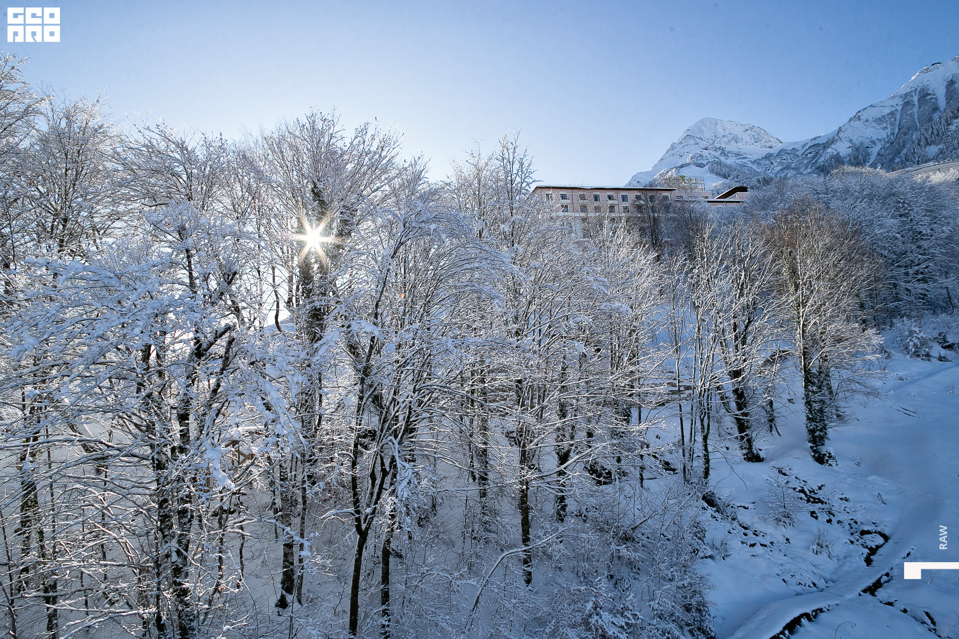 jpg-3 копия.jpg