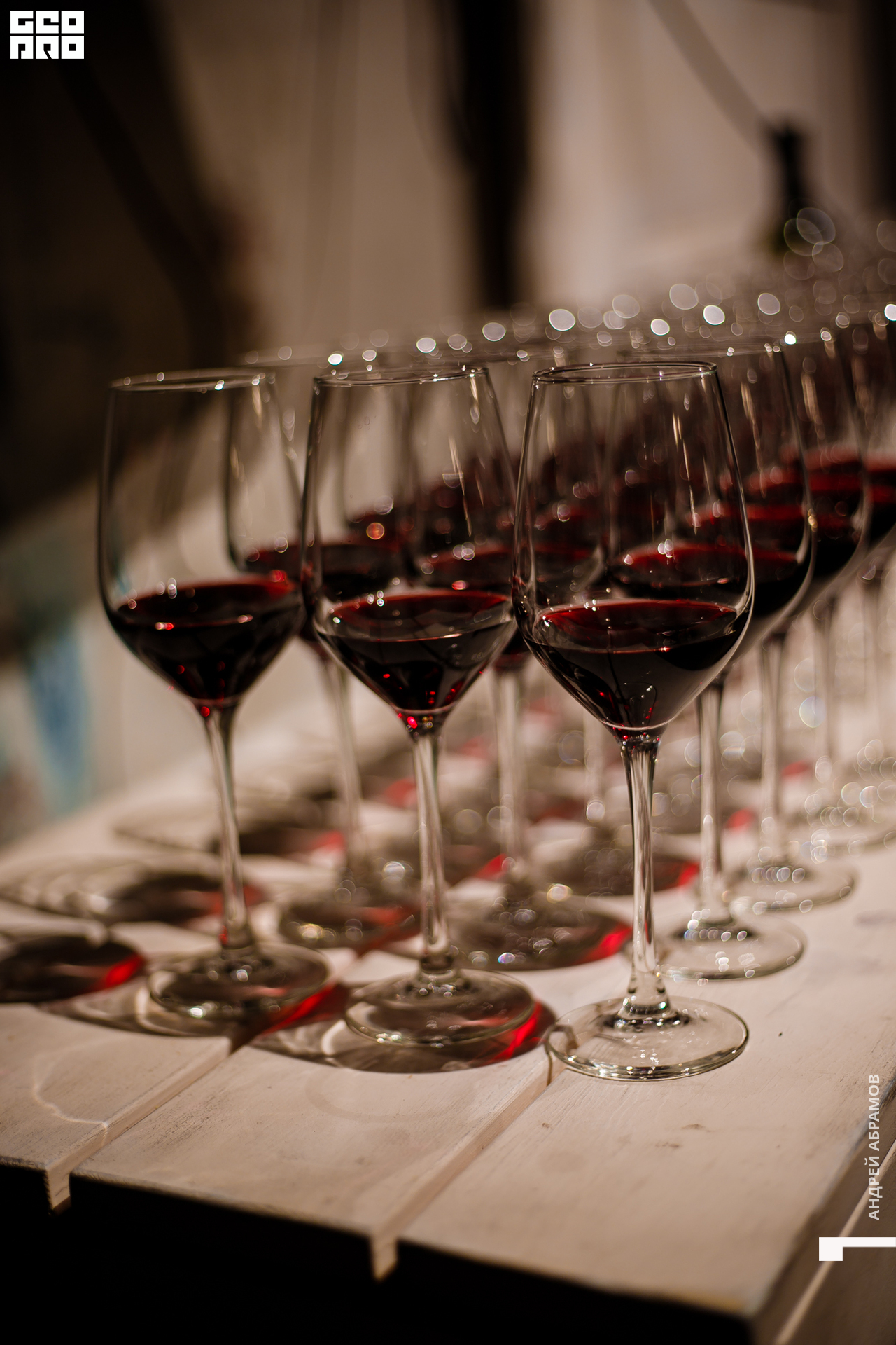 051219 Гастроужин Птичка Абрамов  0033.jpg