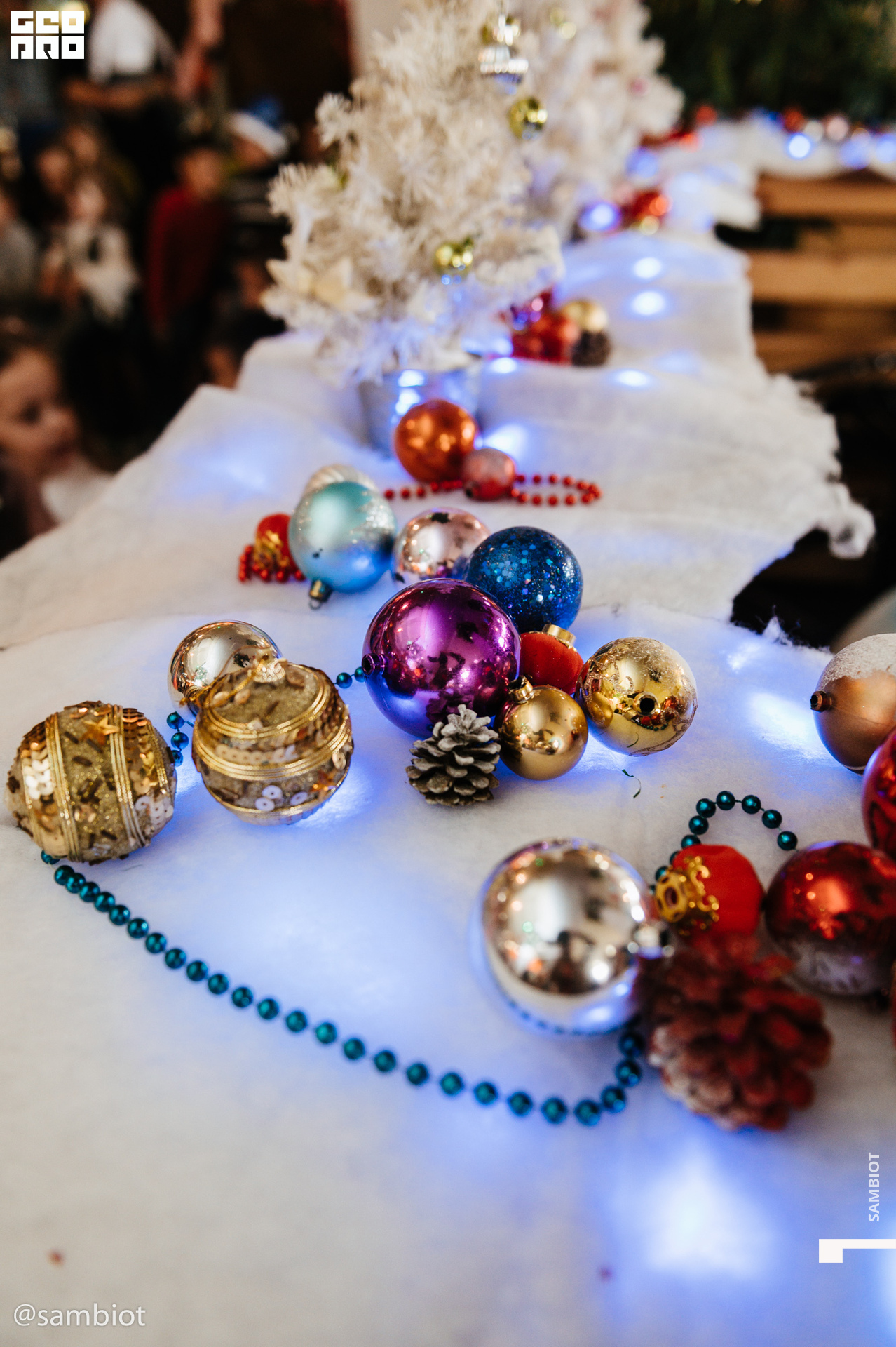 untitled (56 of 145).jpg