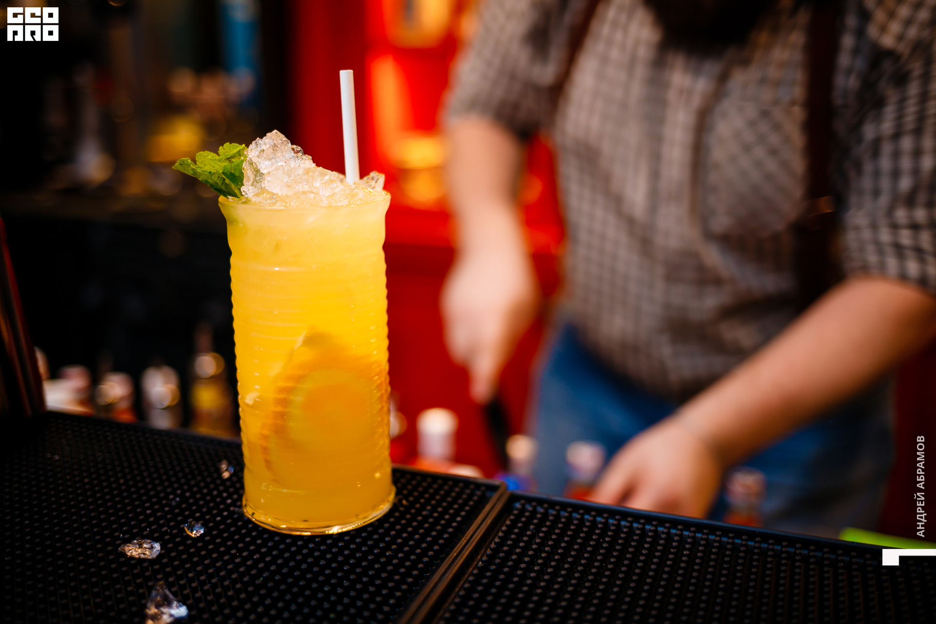 111019 Птичка Абрамов0021.jpg