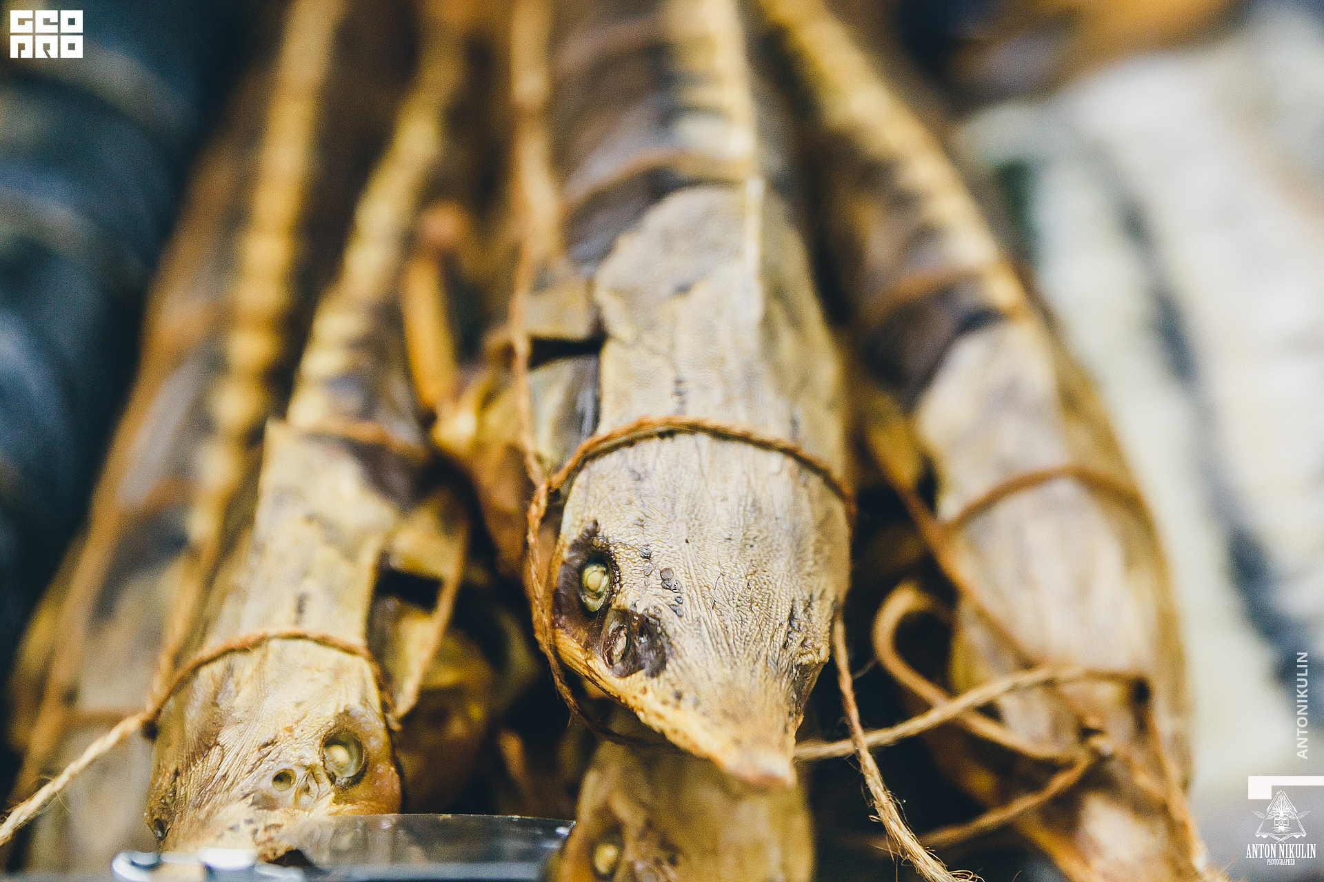 untitled shoot-9779.jpg