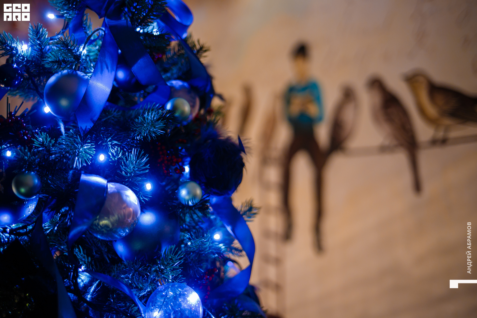 131219 Птичка и 5561 Абрамов для загрузки  0008.jpg