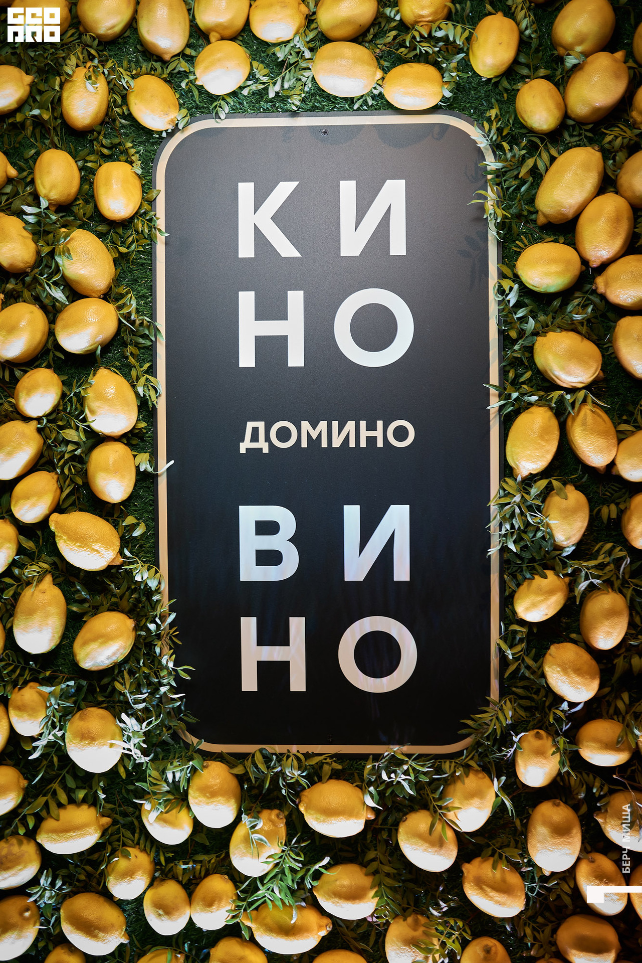 @misha.byorch 0002.jpg