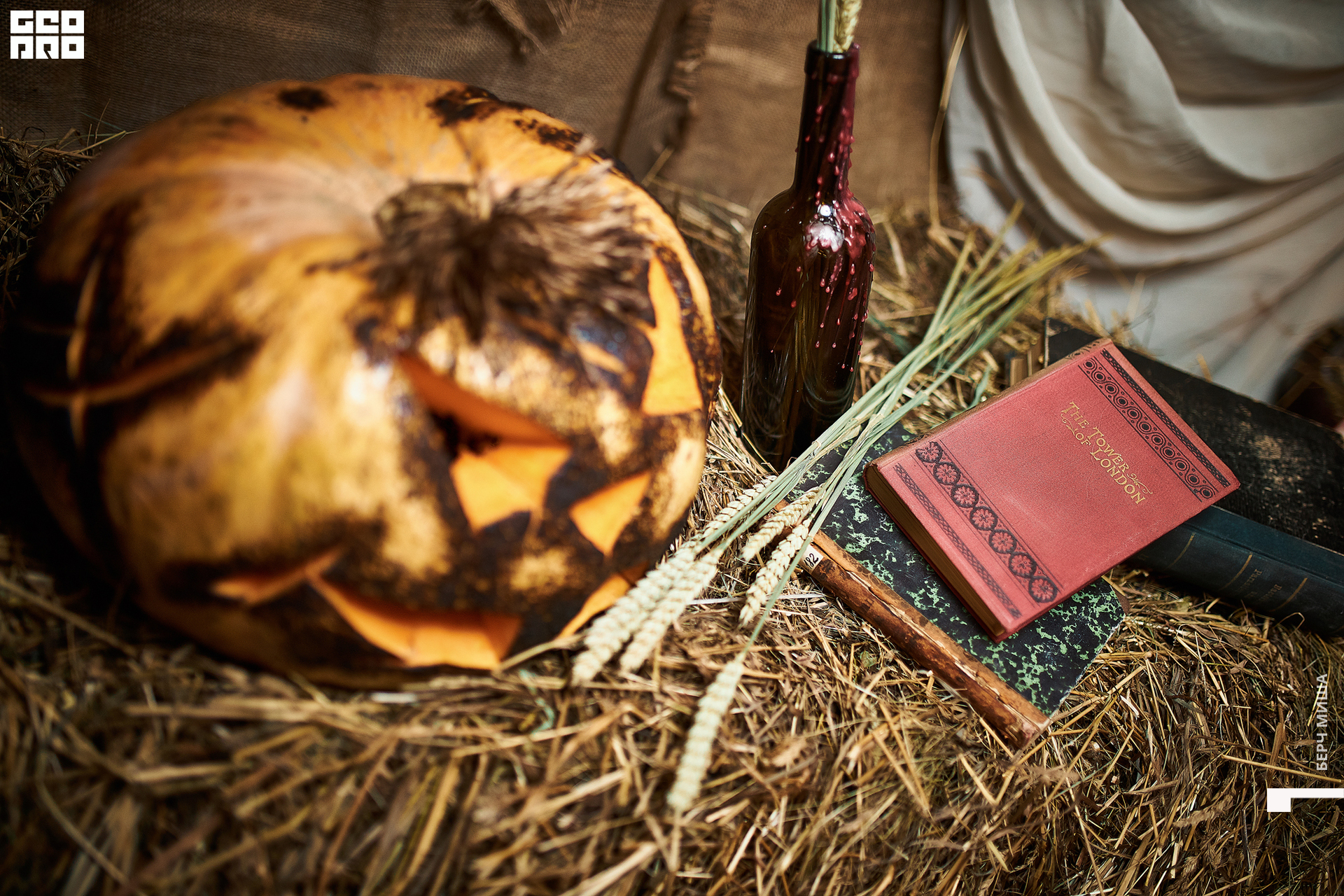 @misha.byorch 0006.jpg