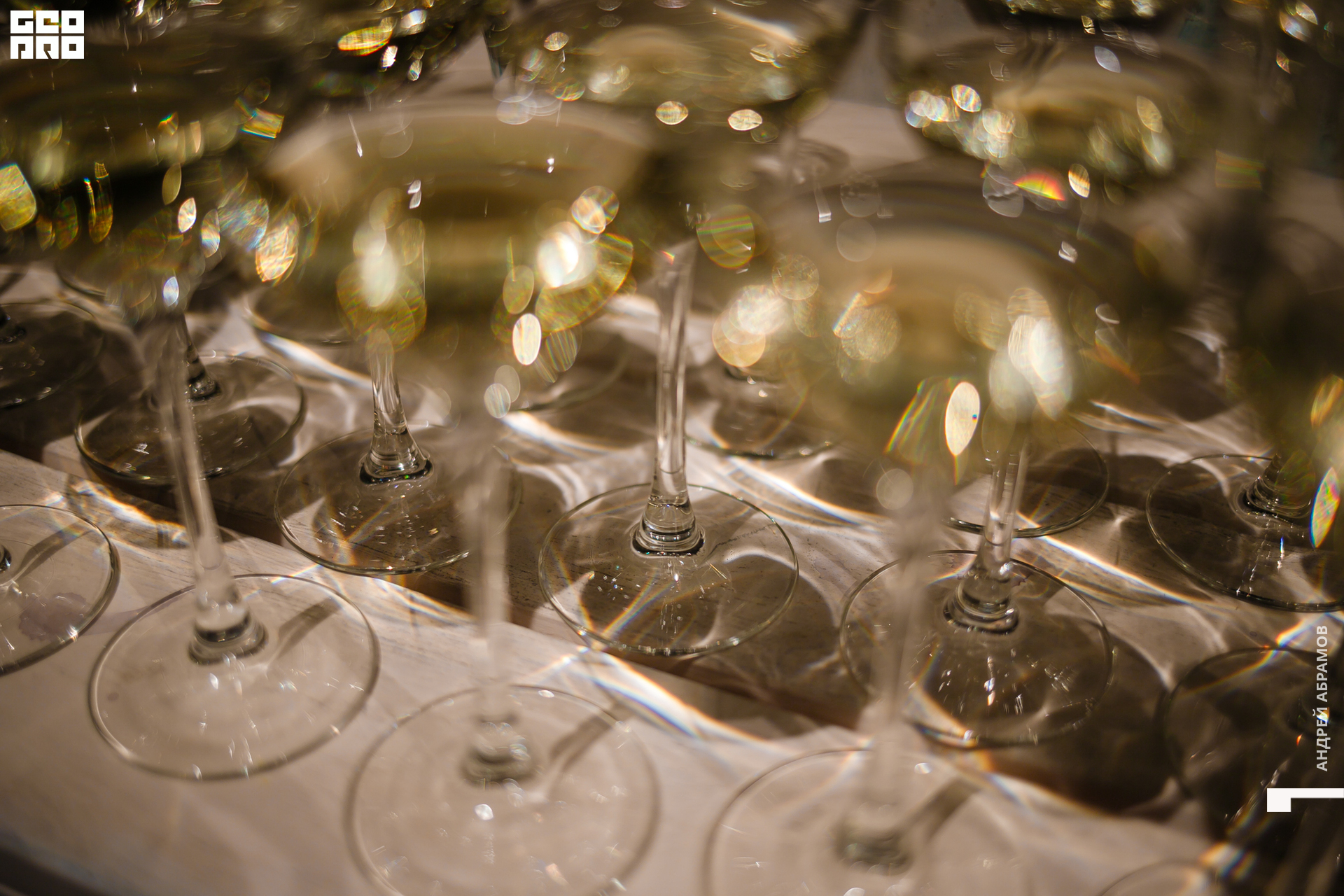 051219 Гастроужин Птичка Абрамов  0008.jpg