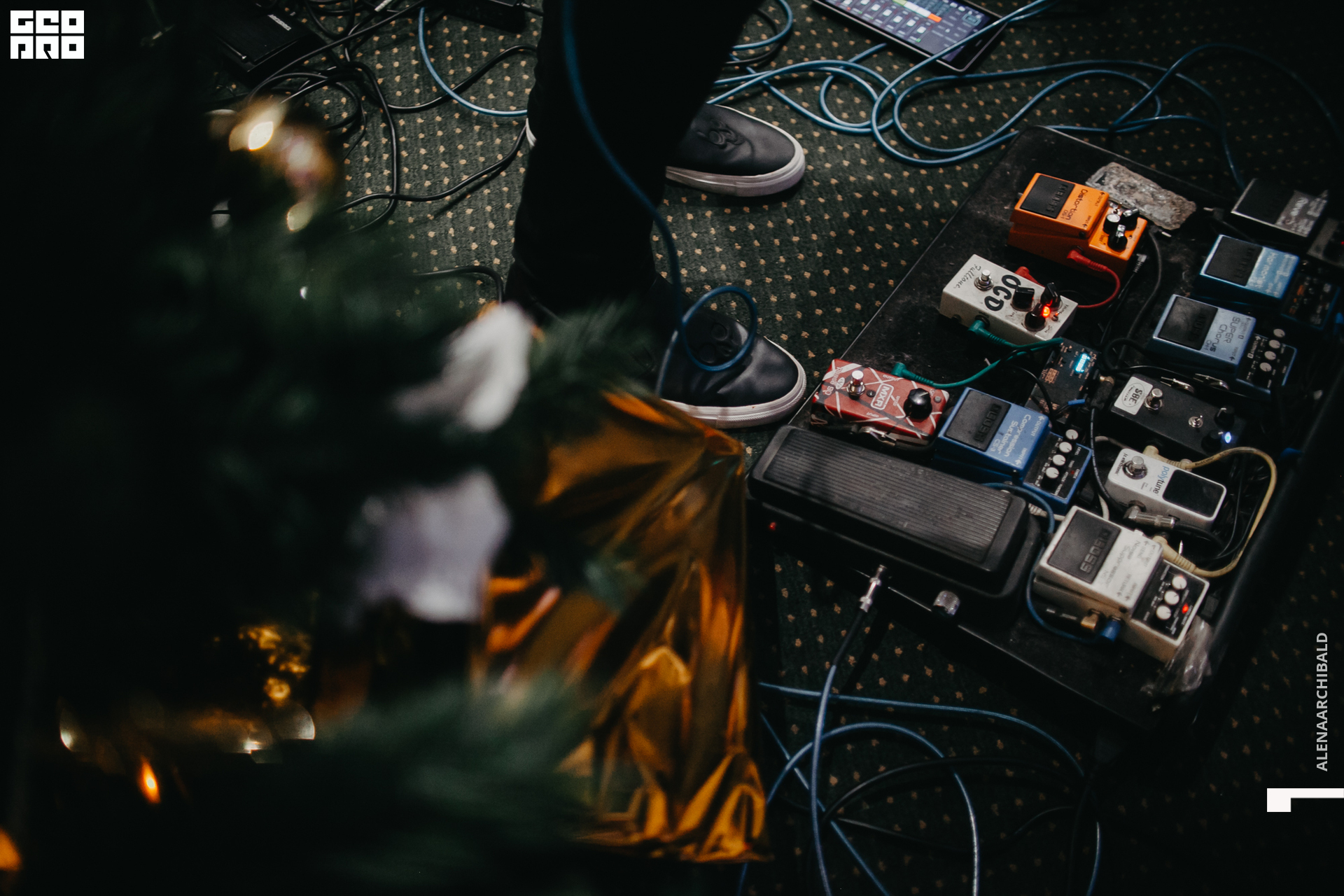 2019-12-31 21-30-25_alenaarchibald_0160.jpg