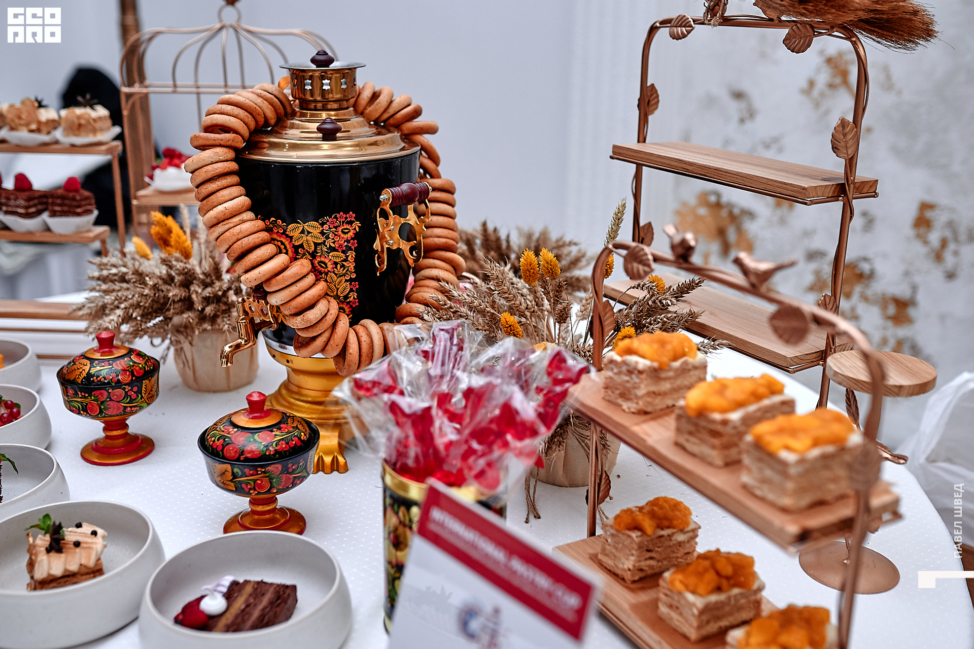 2019-11-24 13-10-00_SHVED_0045.jpg