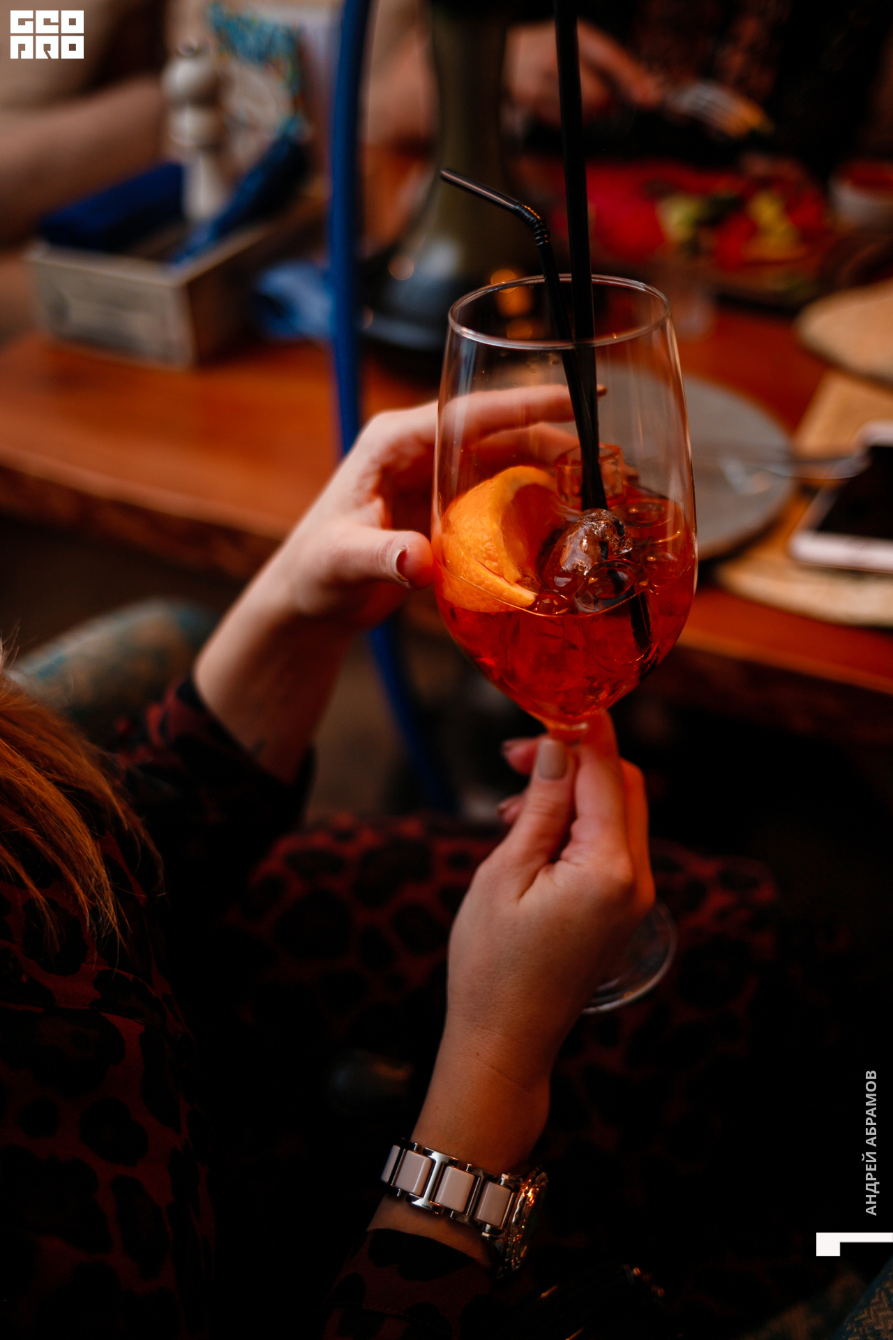 251019 Птичка Абрамов0018.jpg