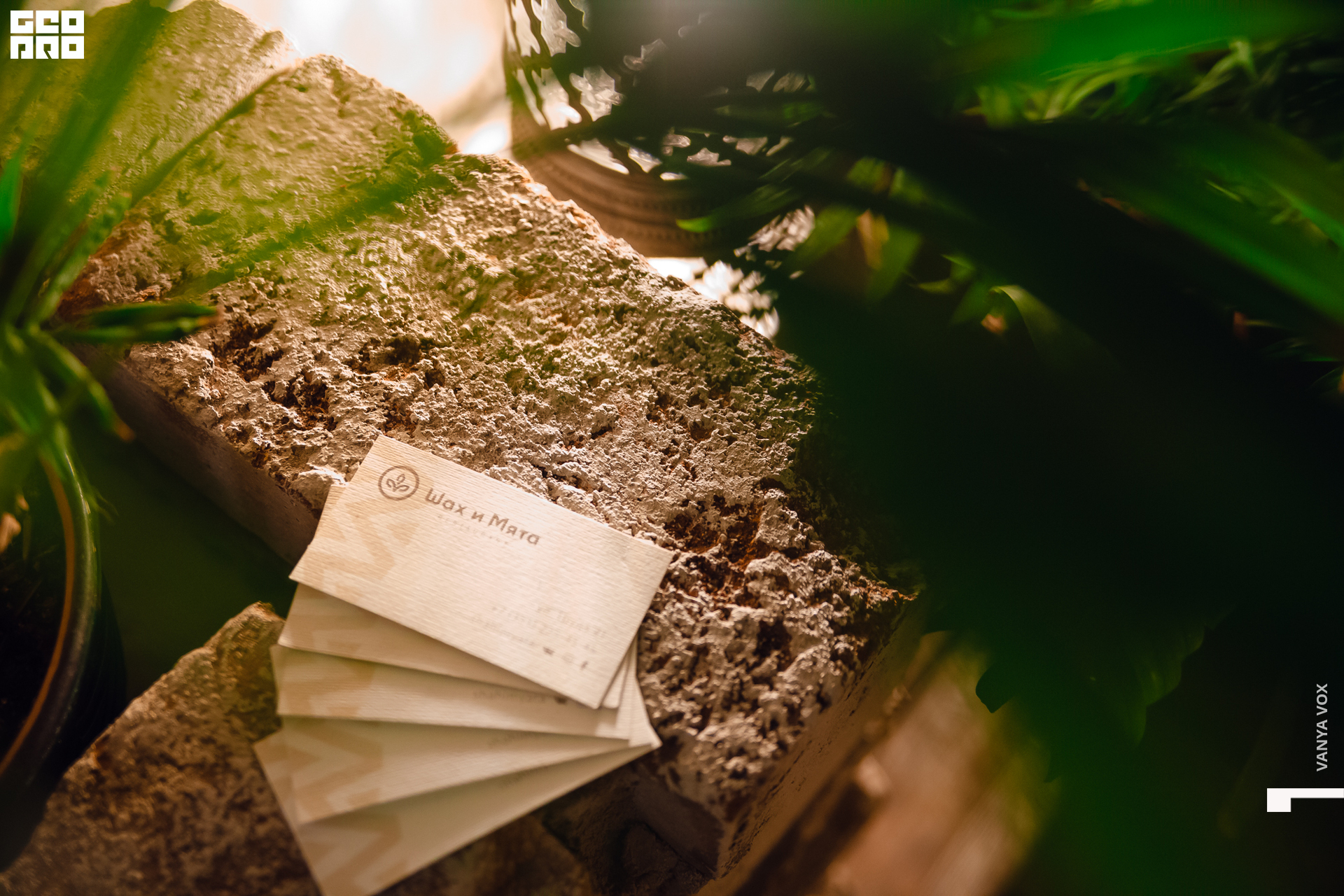 2019-12-06 20-00-00_Вокс_0080.jpg