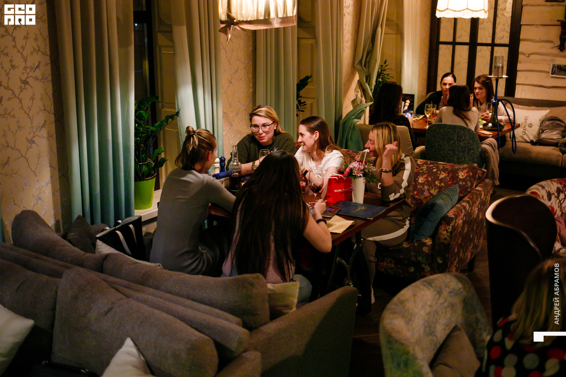 251019 Птичка Абрамов0077.jpg