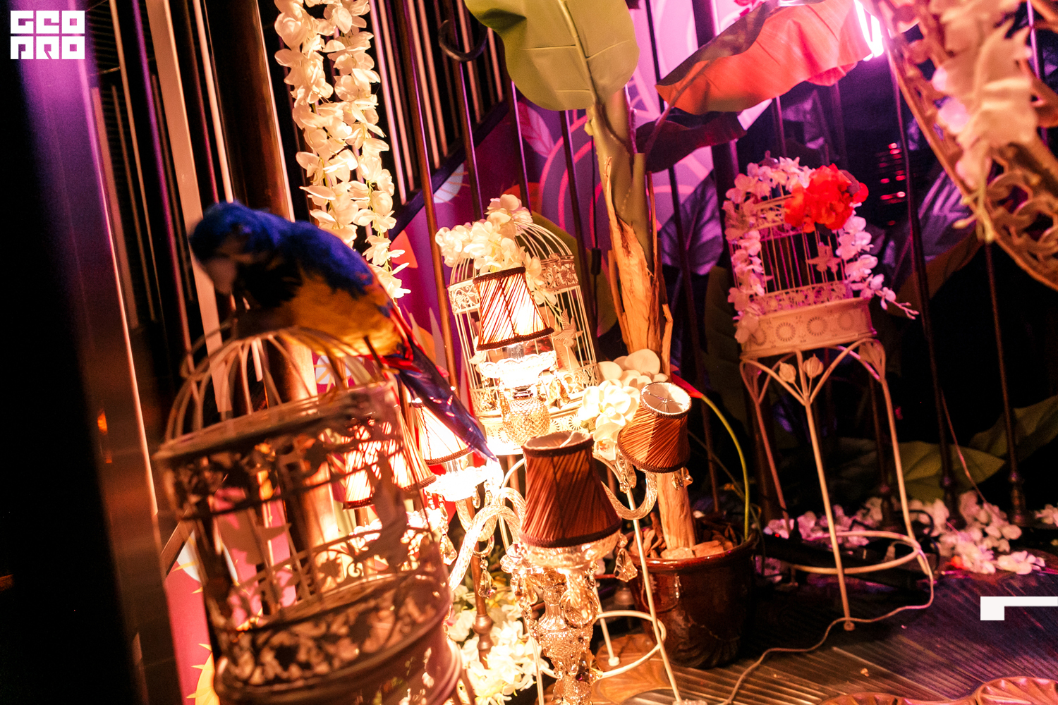 Cartagena (55 of 73).jpg