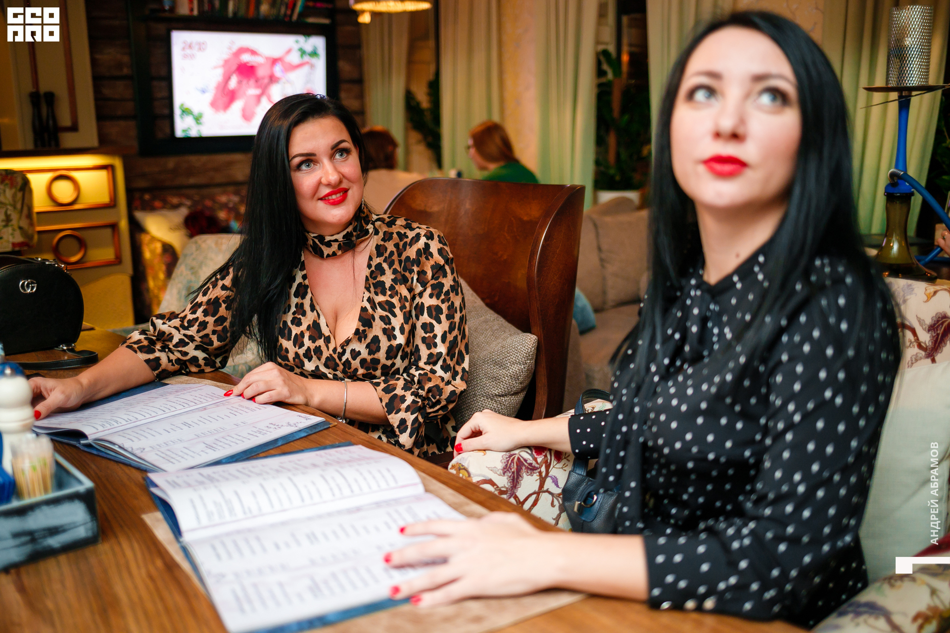 111019 Птичка Абрамов0066.jpg