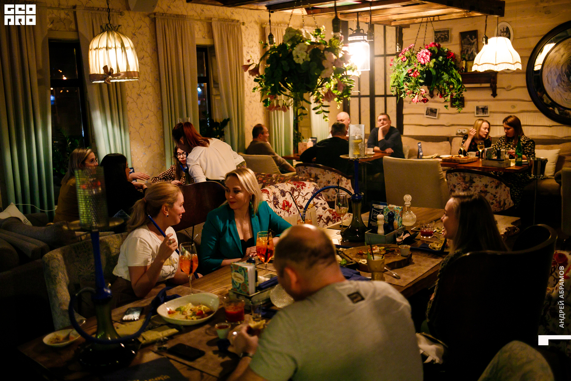 081119 Птичка Абрамов 0045.jpg