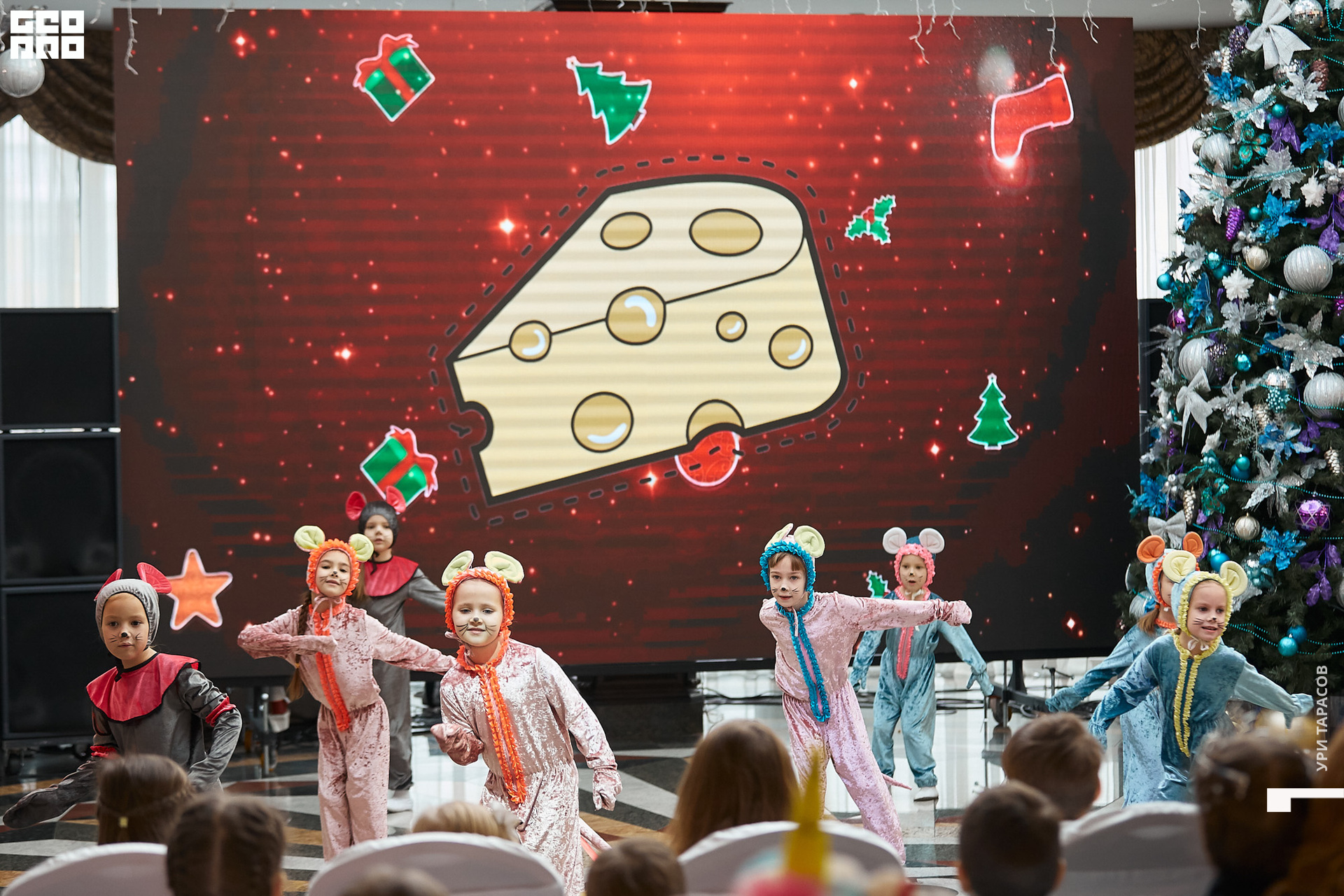 080 191228_114031_uri_0080.jpg