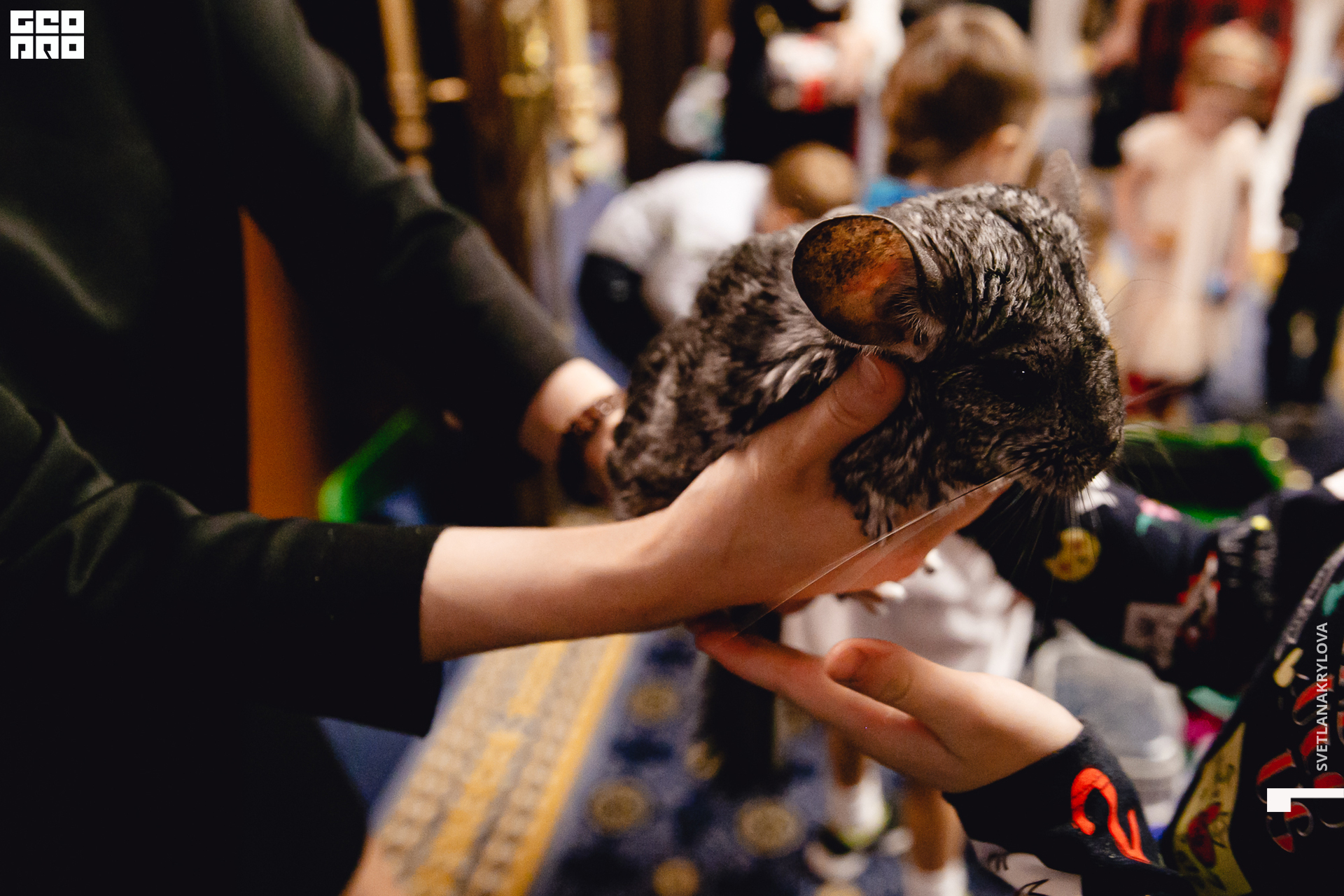 2019-12-22 16-00-00 Krylova_0050.jpg