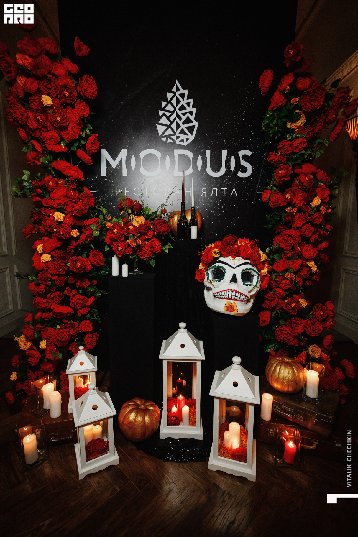 HELLOWINE in MODUS 14