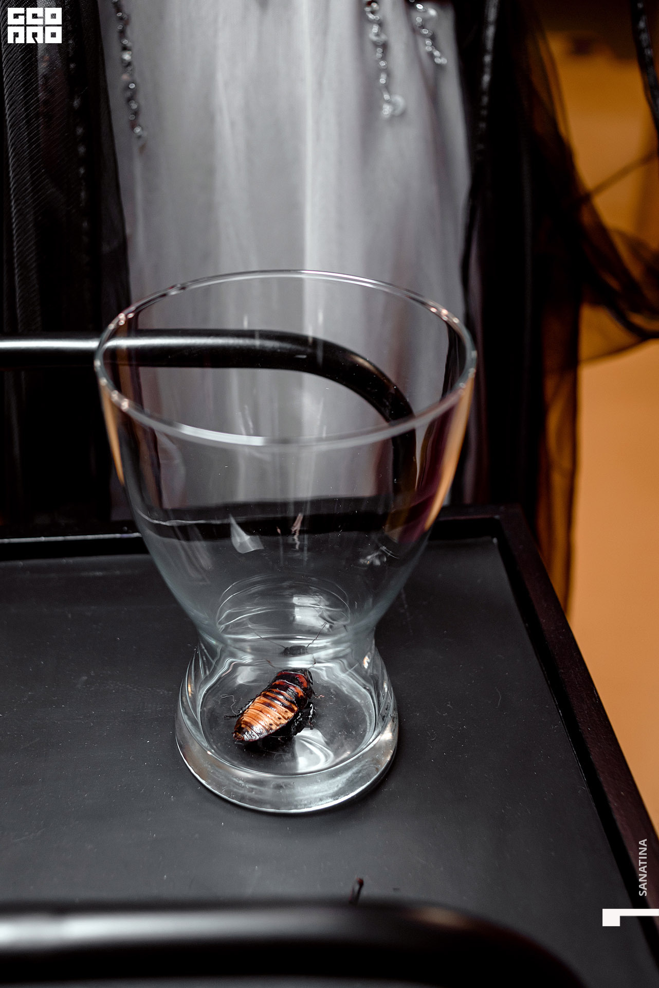 0040_2020-10-31_20-27-03 - Sanatina.jpg