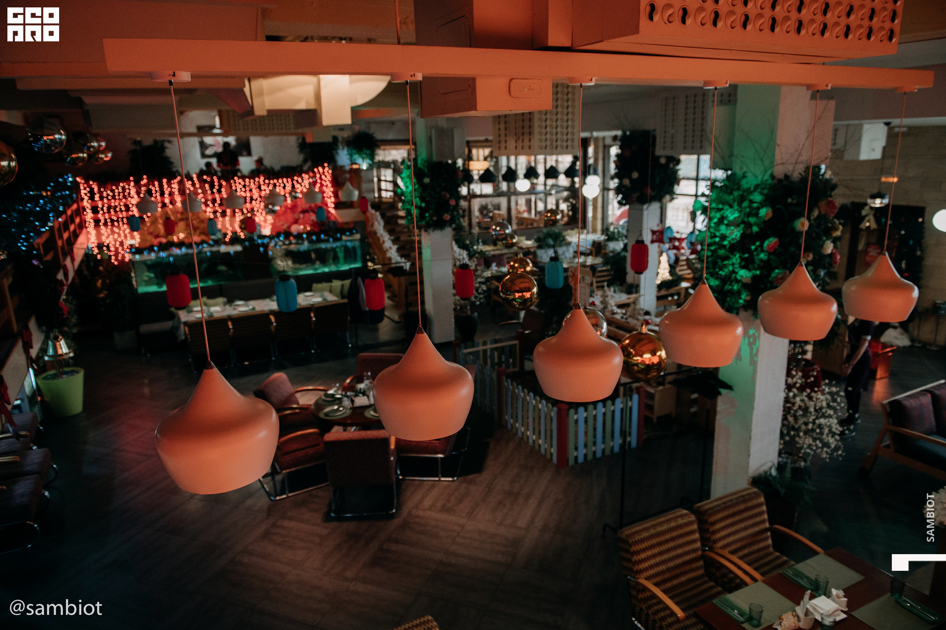 untitled (4 of 97).jpg