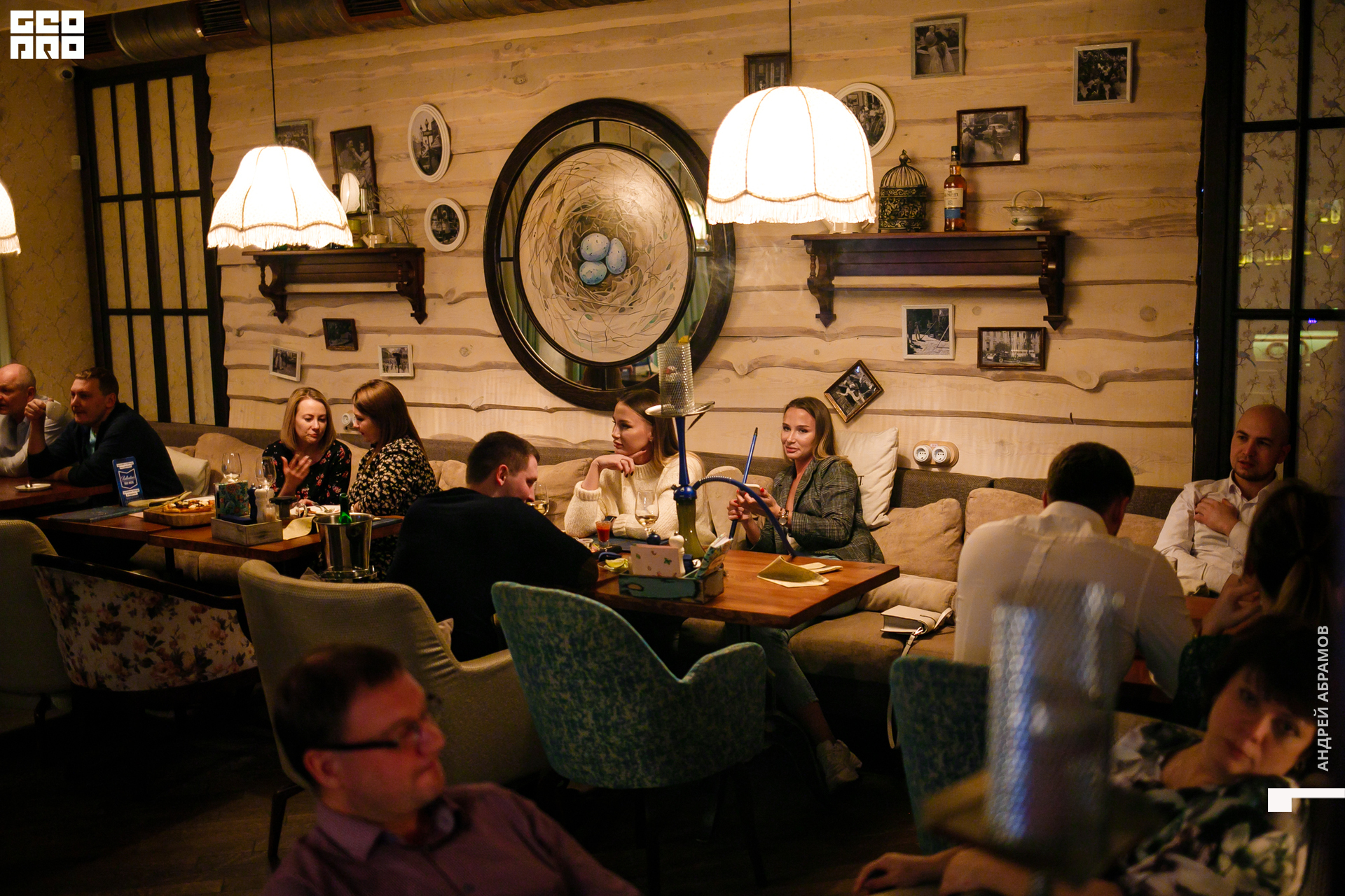 081119 Птичка Абрамов 0075.jpg