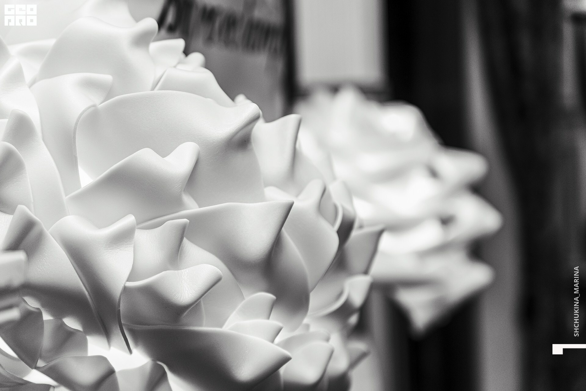 03.11.2019 цвет-234.jpg